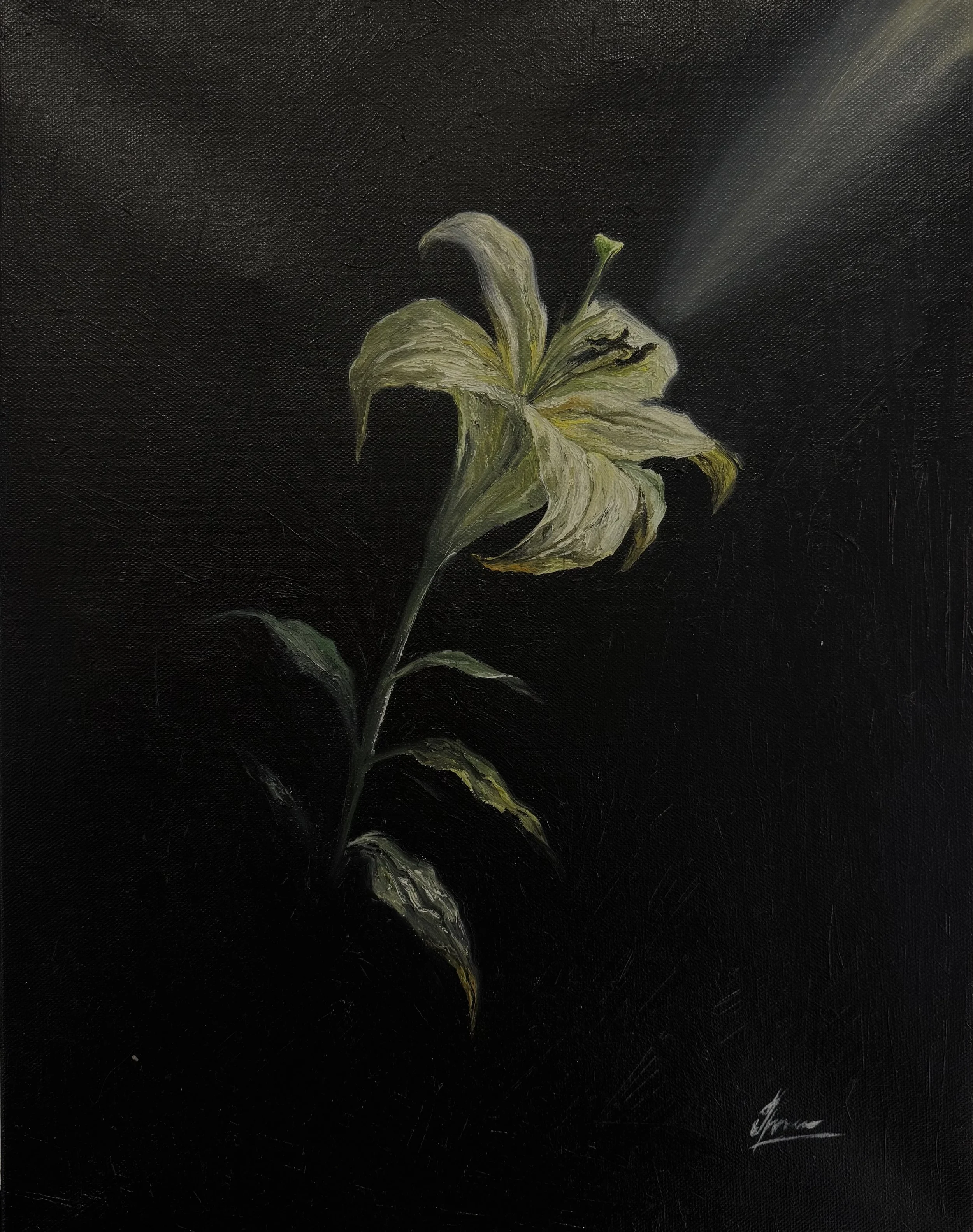 A painting of a wilting lily flower on a dark background.