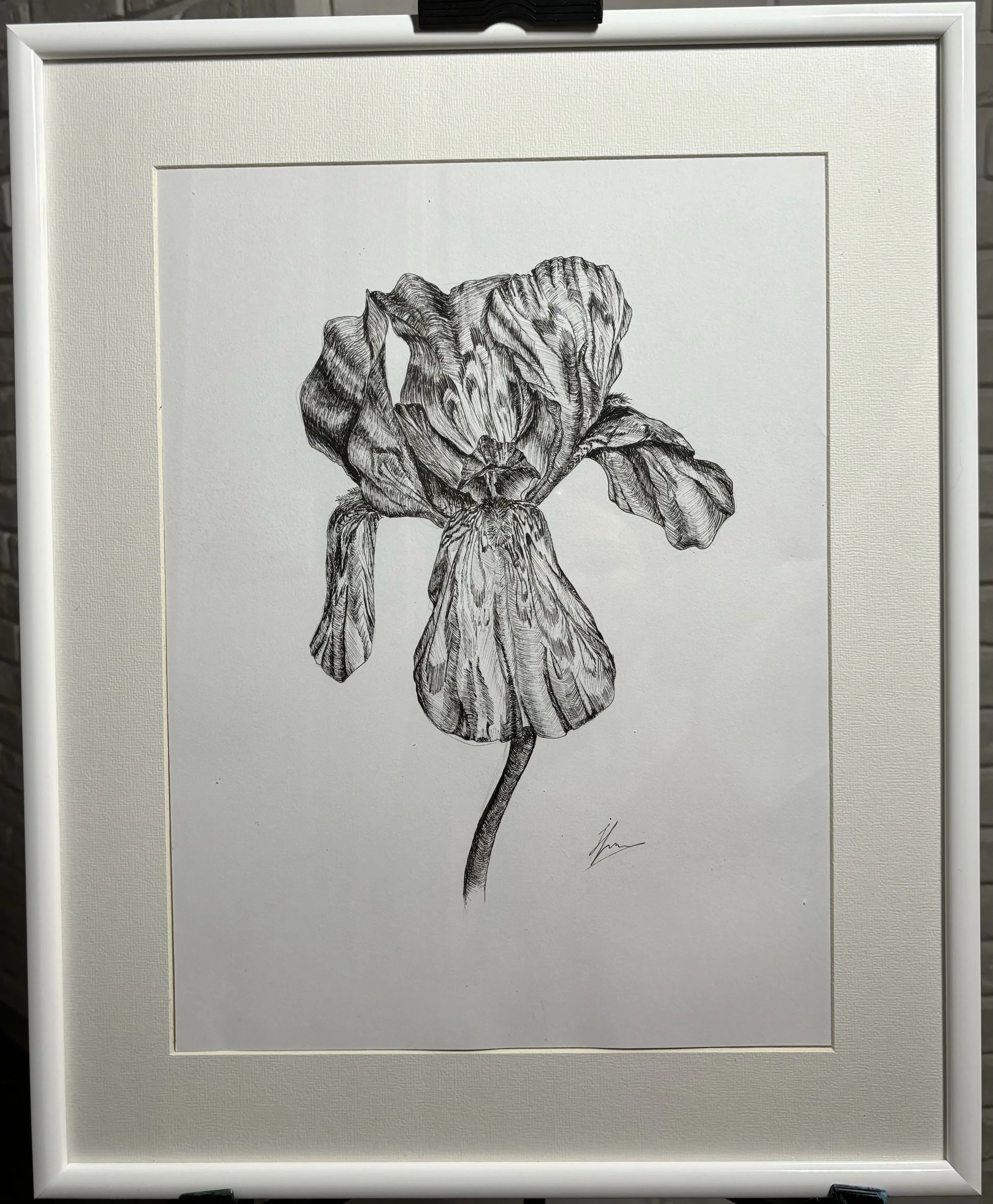 A detailed black and white drawing of a flower with large, textured petals and leaves, mounted in a white picture frame.