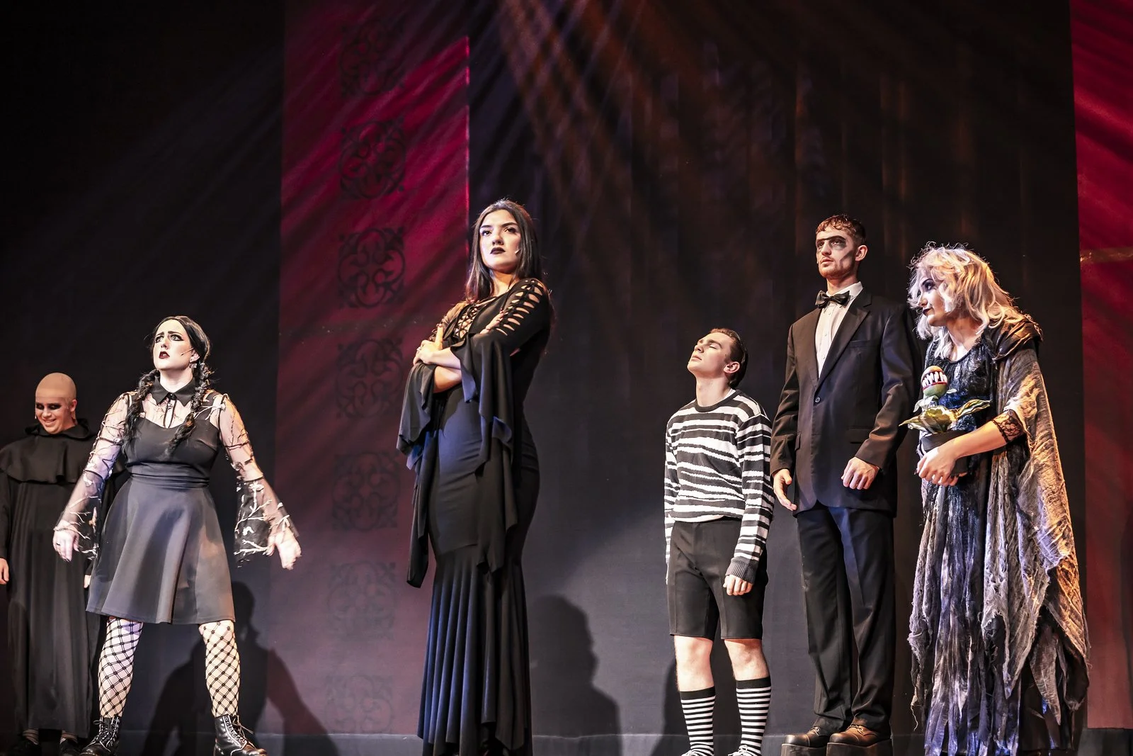 Addams Family - Morticia