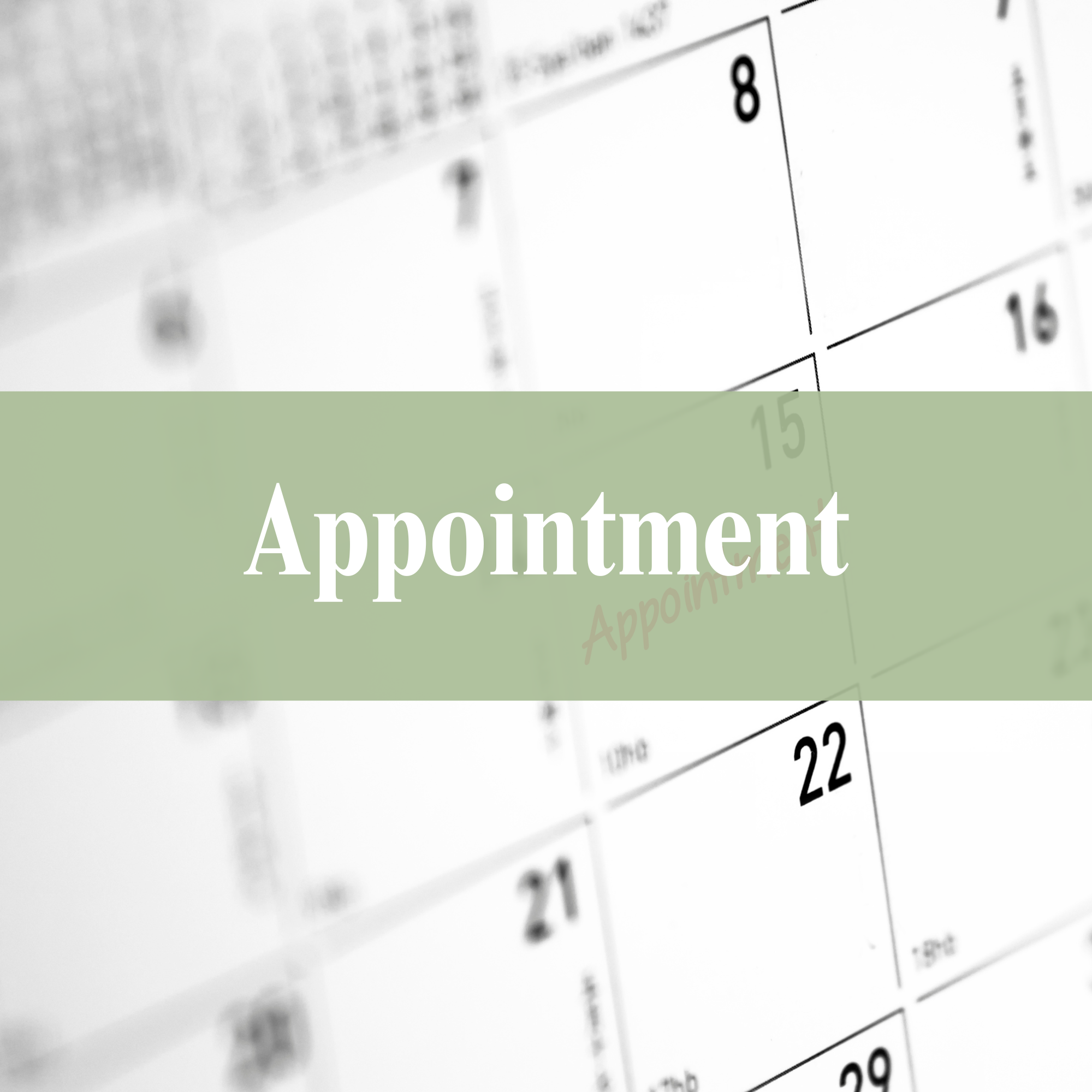 Appointments Calendar