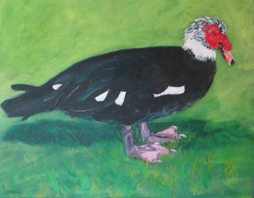 Title 
Medium 
Dimensions