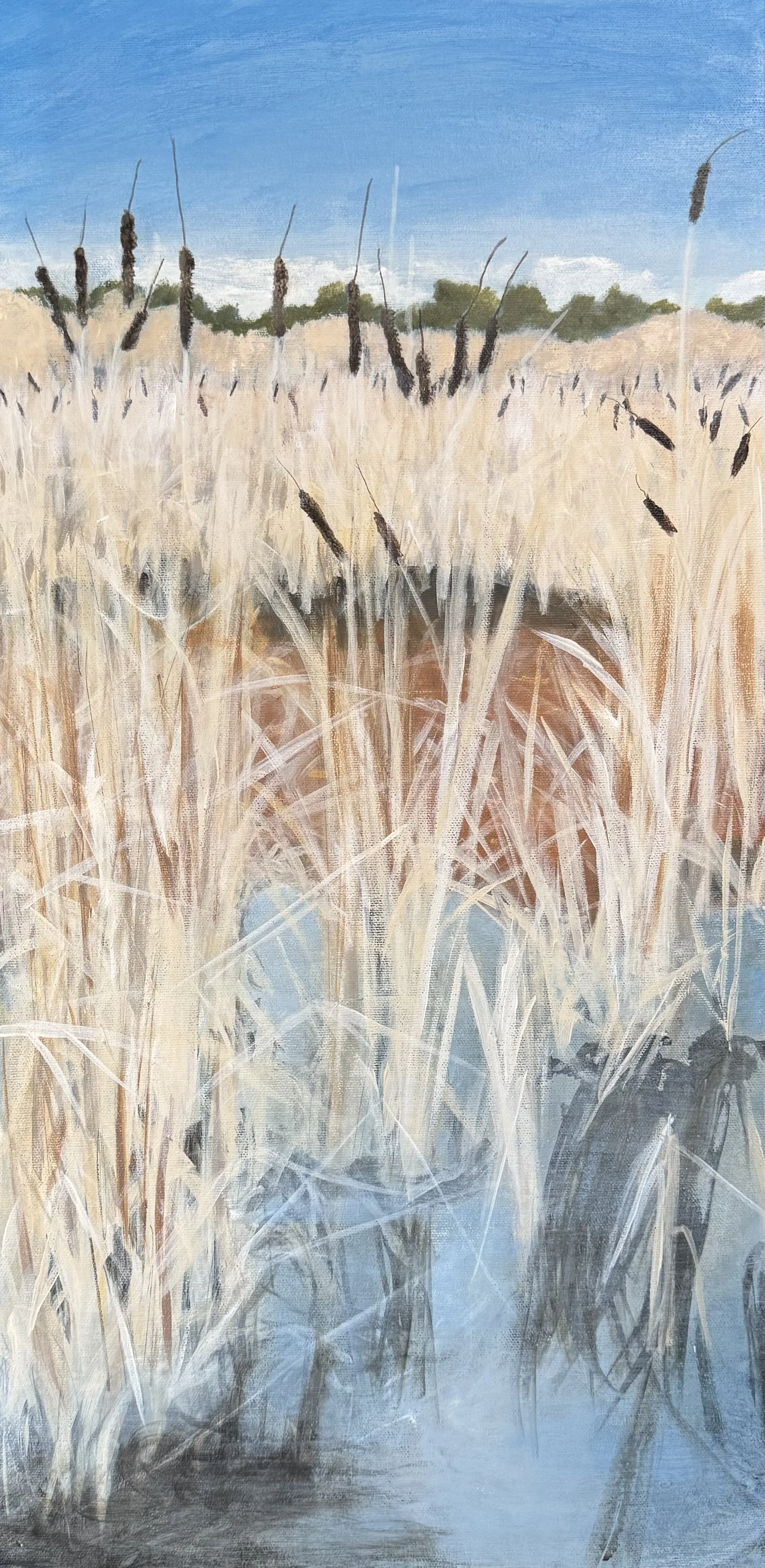 Rithet’s Bog Series - Winter II 
Acrylic on canvas 
12” x 24"