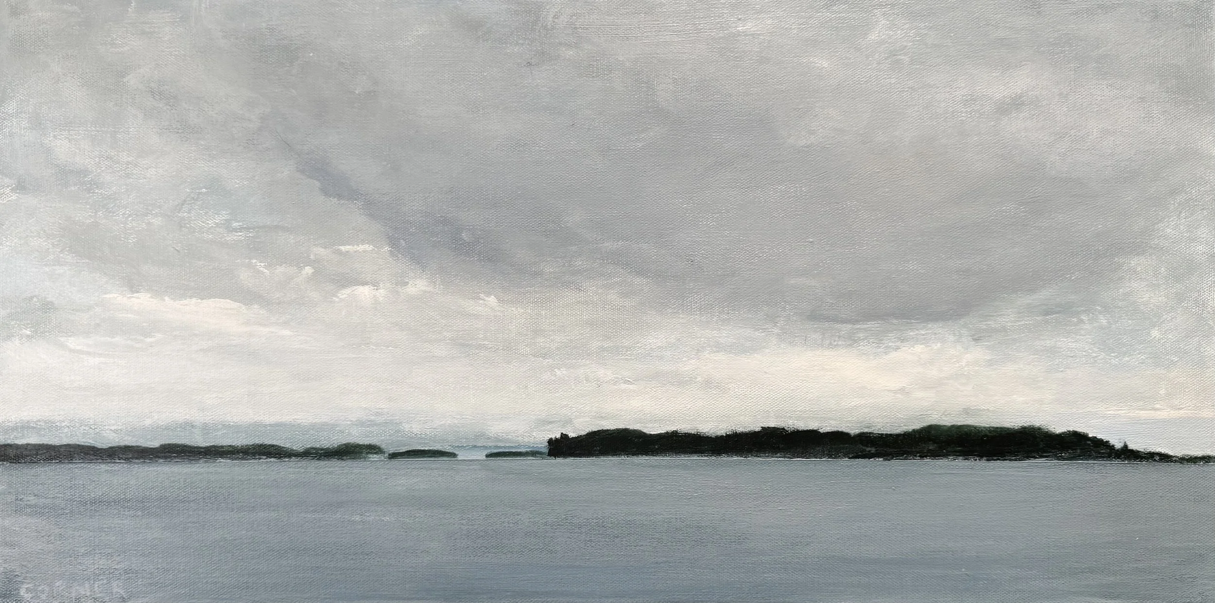 View from Sydney on a January Morning 
Acrylic on canvas 
12” x 24”