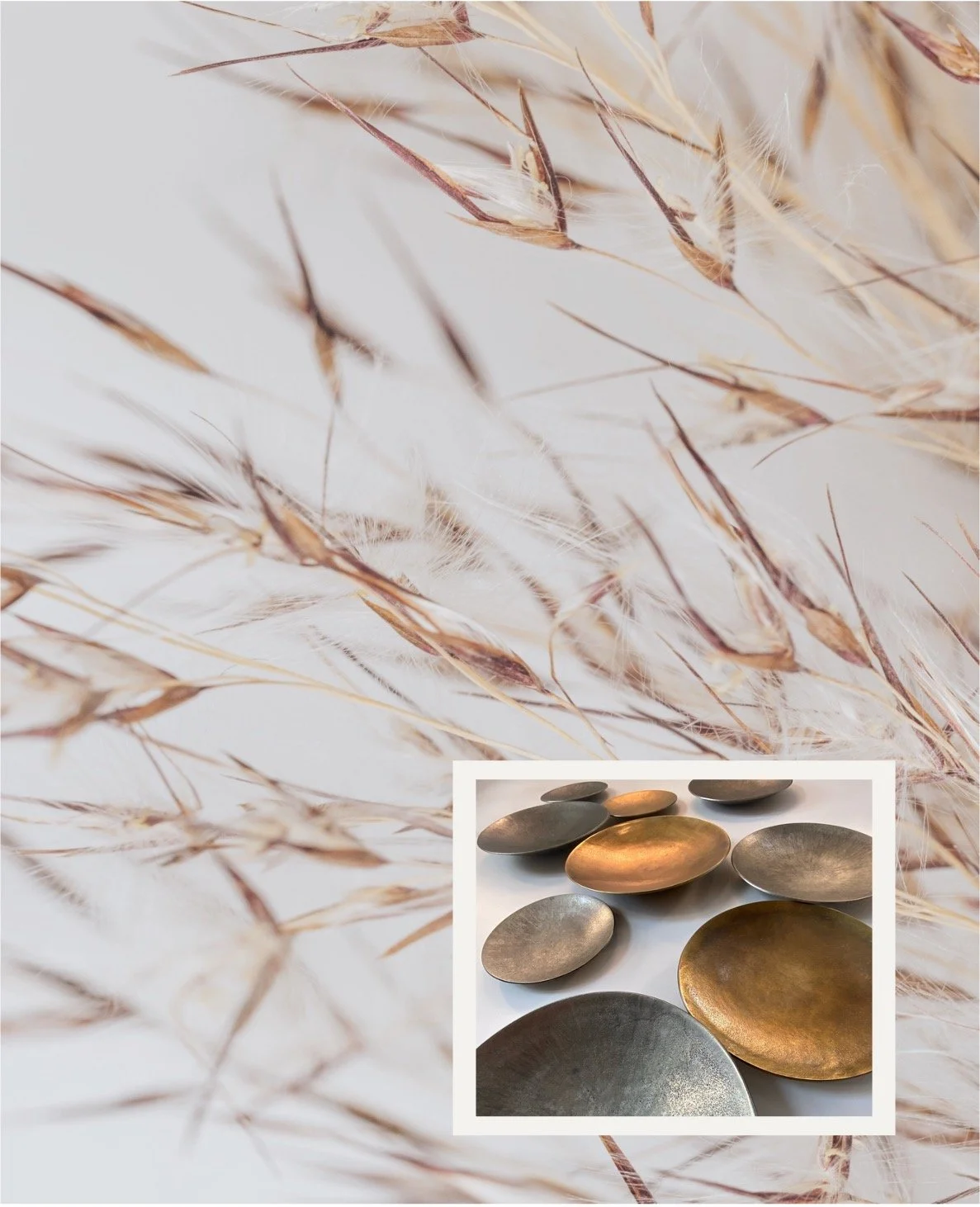 ANCE Capital Headquarters