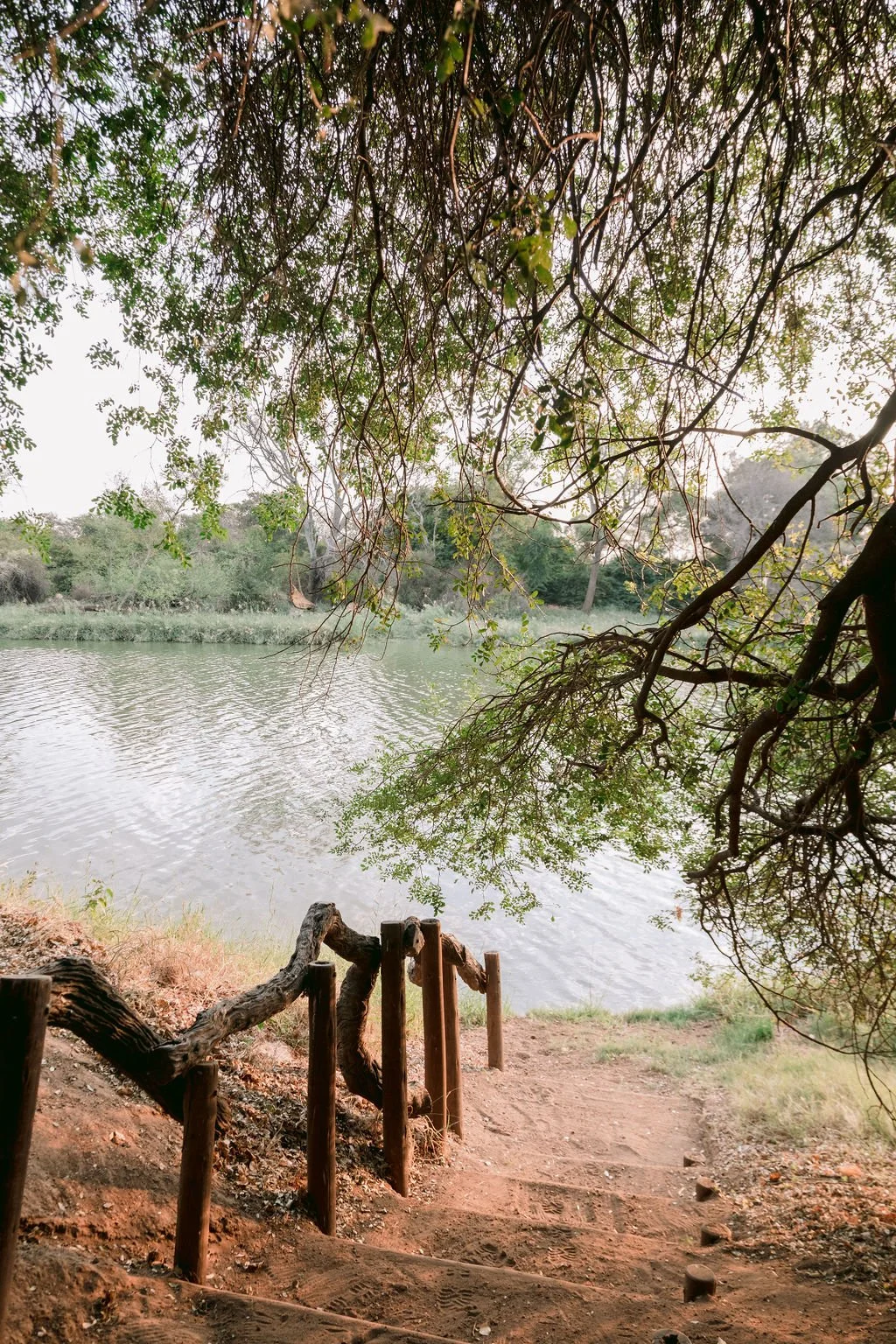 A peaceful lakeside scene with a dirt path leading to the water, framed by overhanging tree branches and leaves, and a rustic wooden railing along the path.
