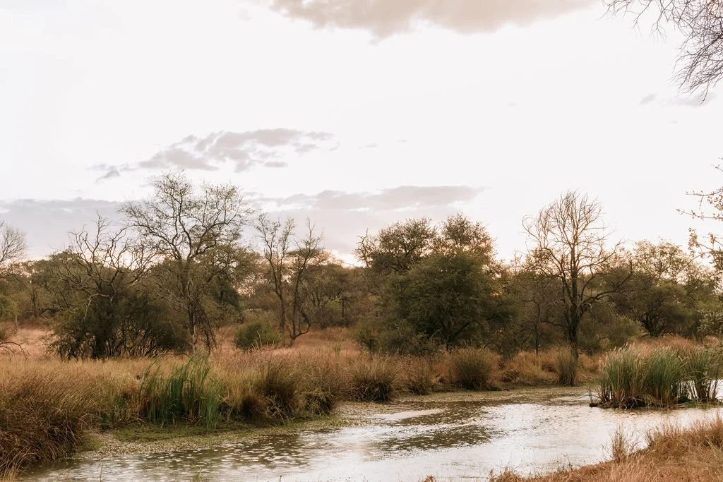 A river flowing through a grassy, wooded landscape with trees and shrubs, under a partially cloudy sky.