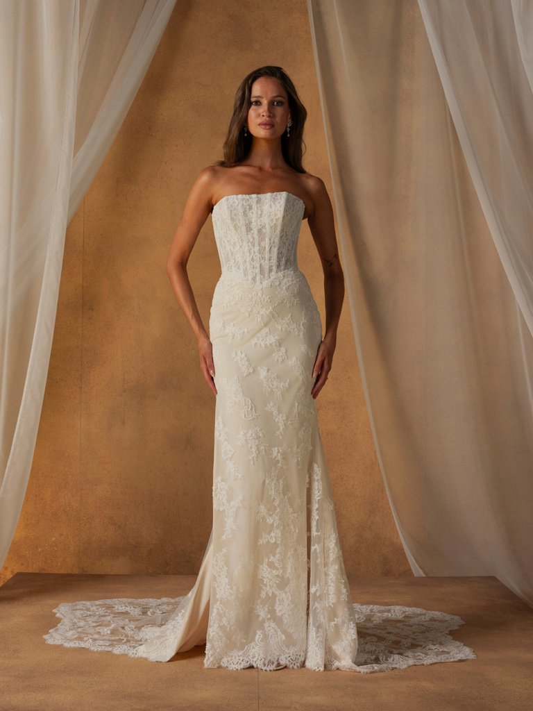 Napier - ML26005_NAPIER_ML26005_1b.jpg