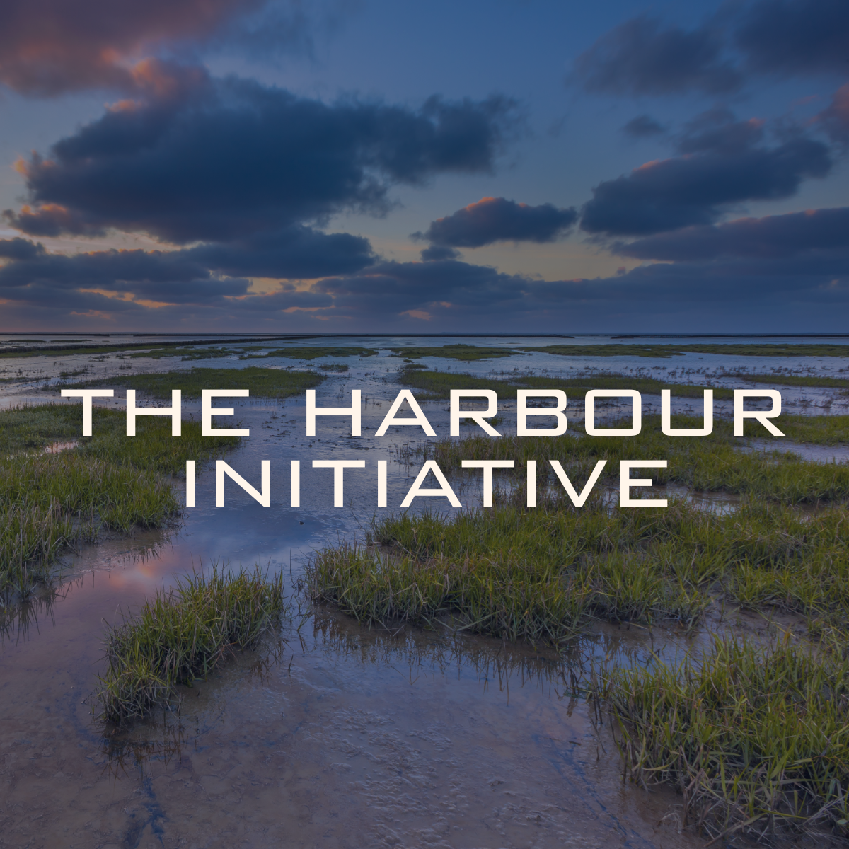 Introducing: The Harbour Initiative