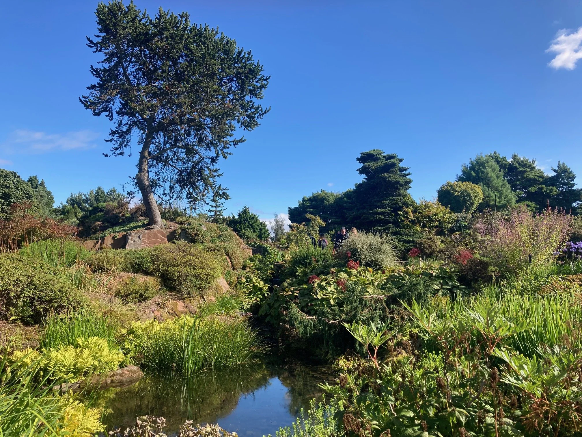 The Ecology of Difference