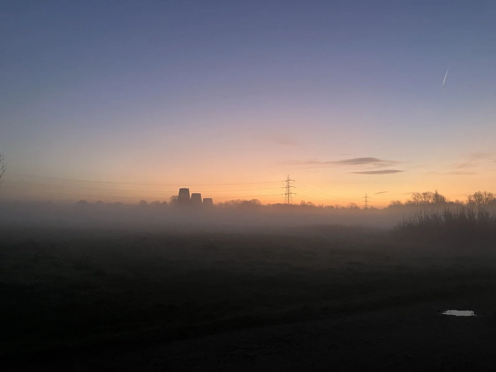 Nature Connection &amp; Organisations