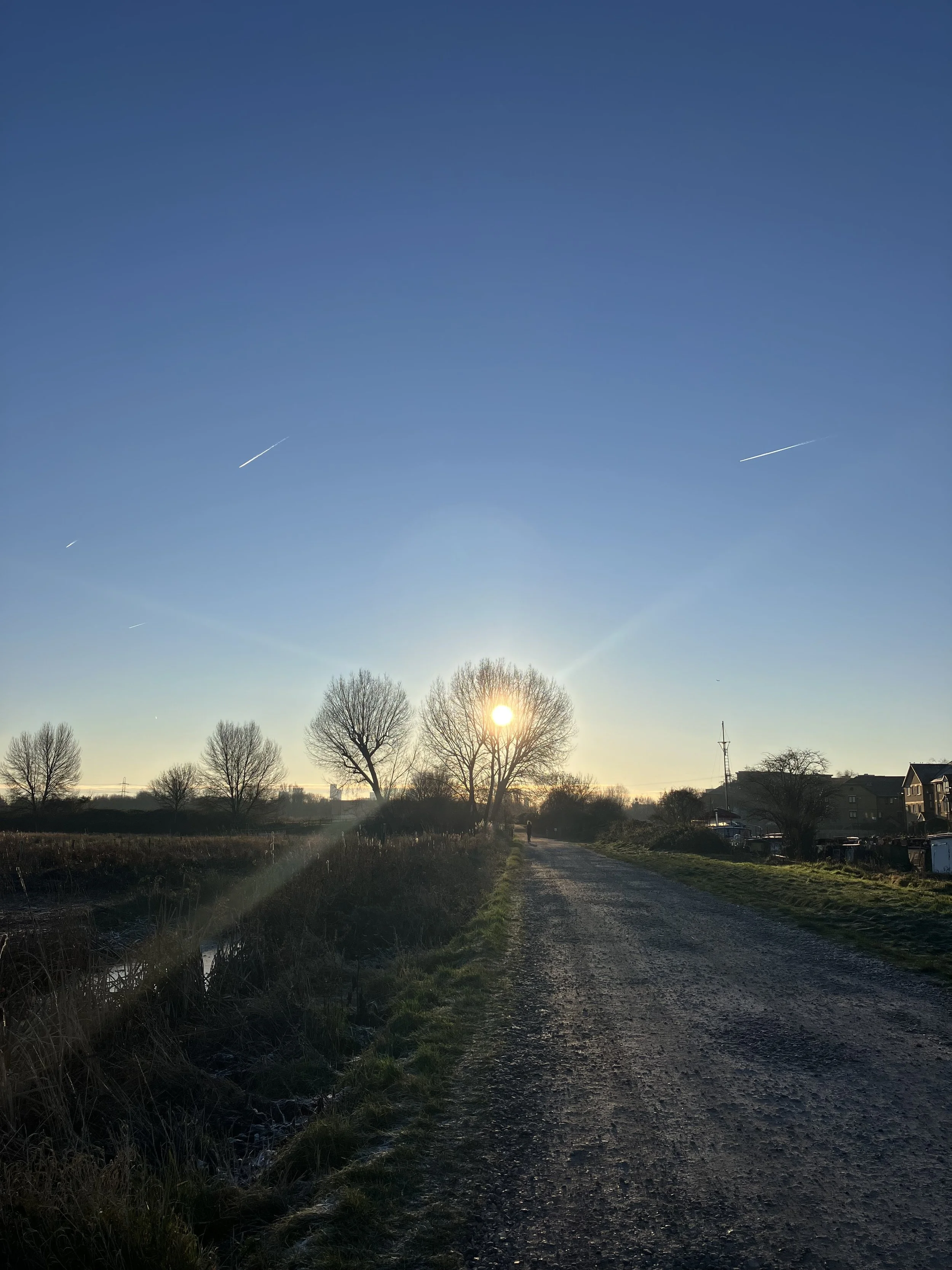A dirt road with grass on the sides, bare trees, and houses in the distance under a clear blue sky with a few contrails.