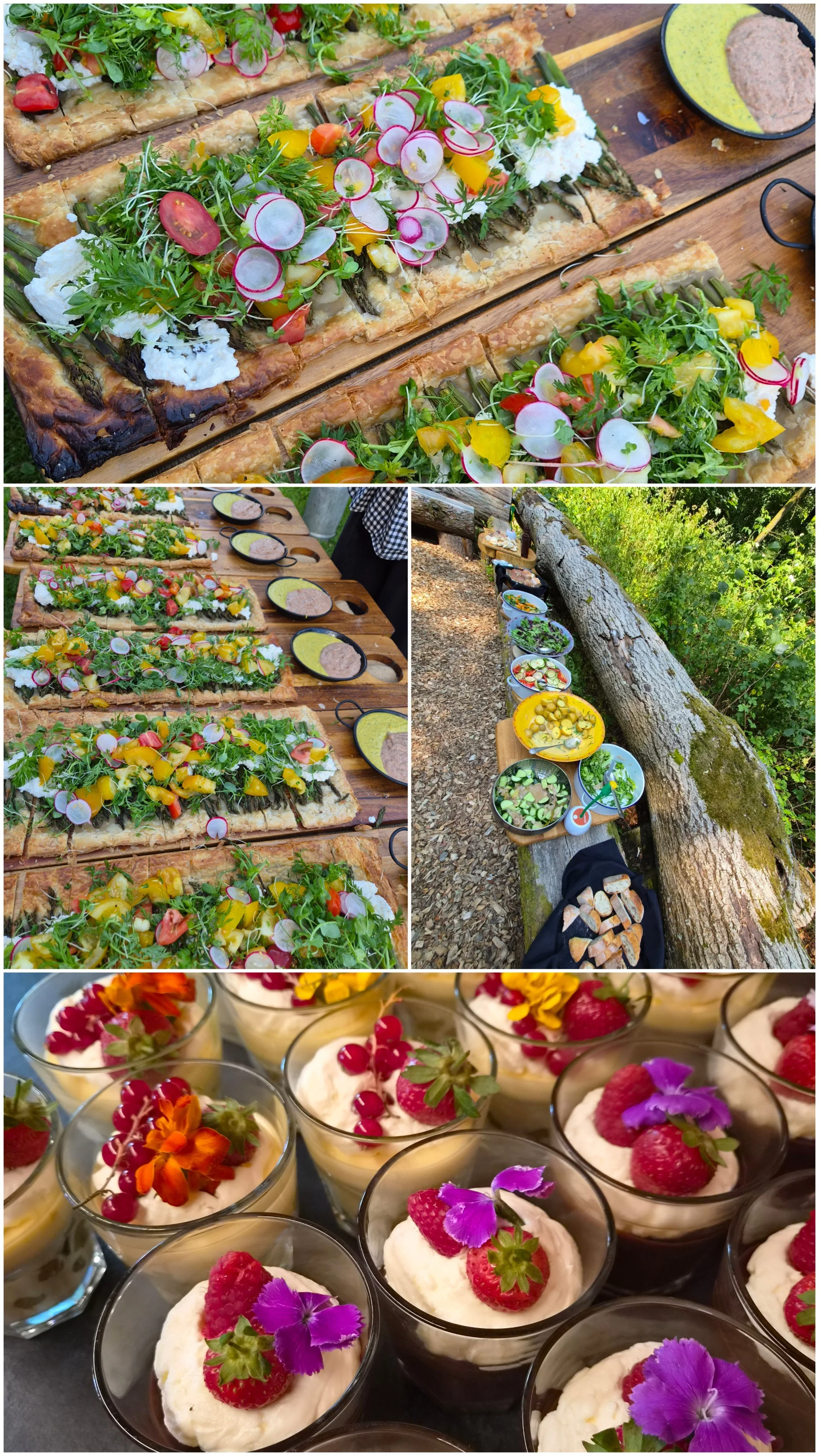 A variety of outdoor food displays featuring vegetable tart, fresh salads, a long table with bowls of salad and bread, and individual dessert cups decorated with berries and edible flowers.