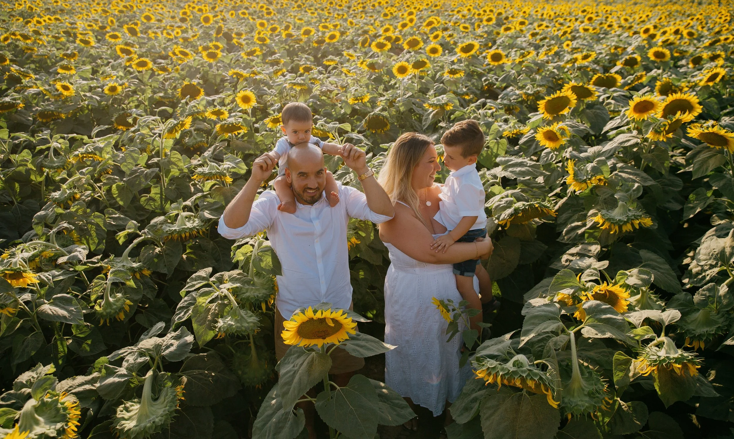 four-people-stand-in-a-sunflower-field-smiling.jpg