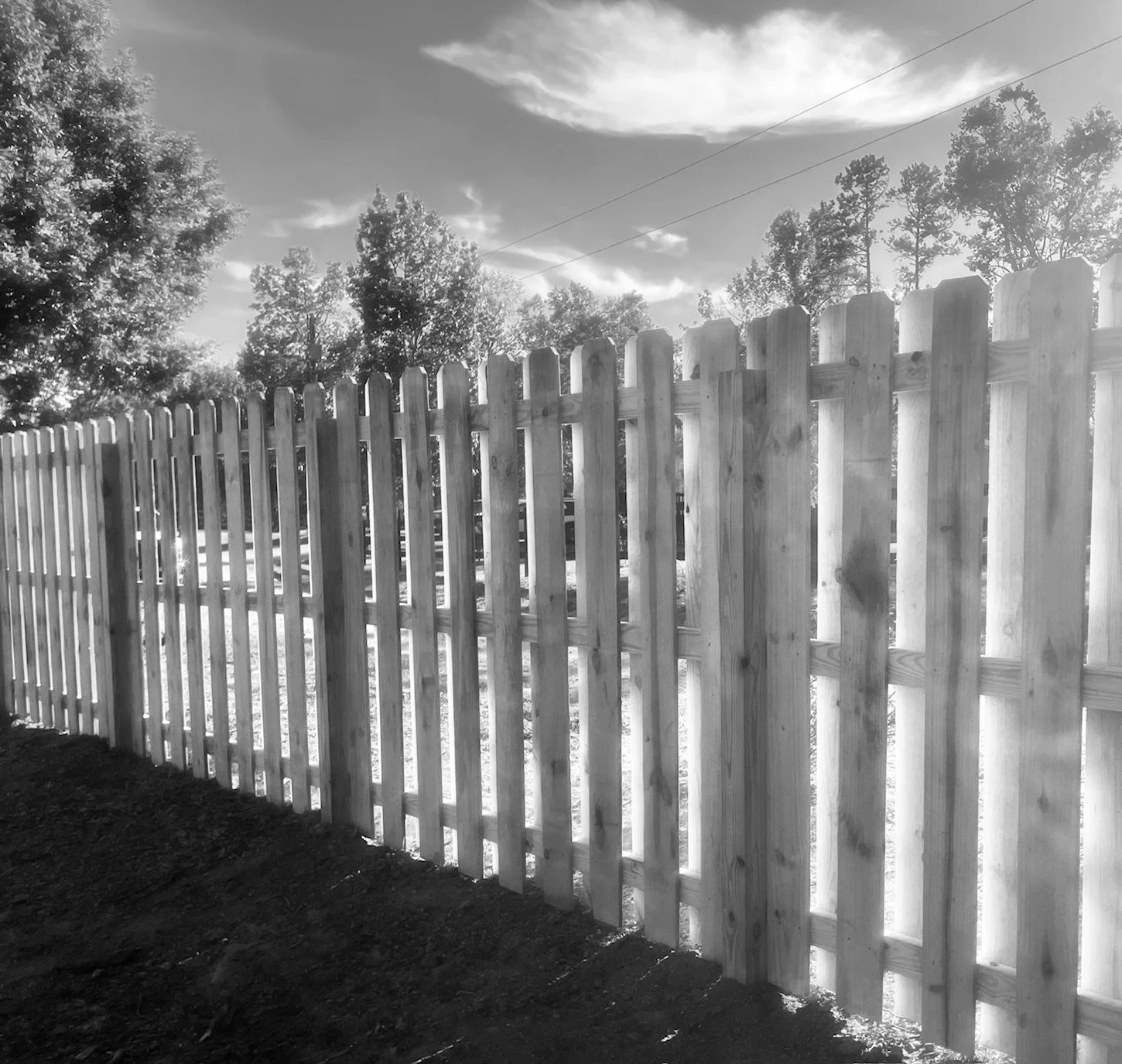 A black and white photograph of a new wooden fence with vertical slats, trees, and a partly cloudy sky visible in the background.