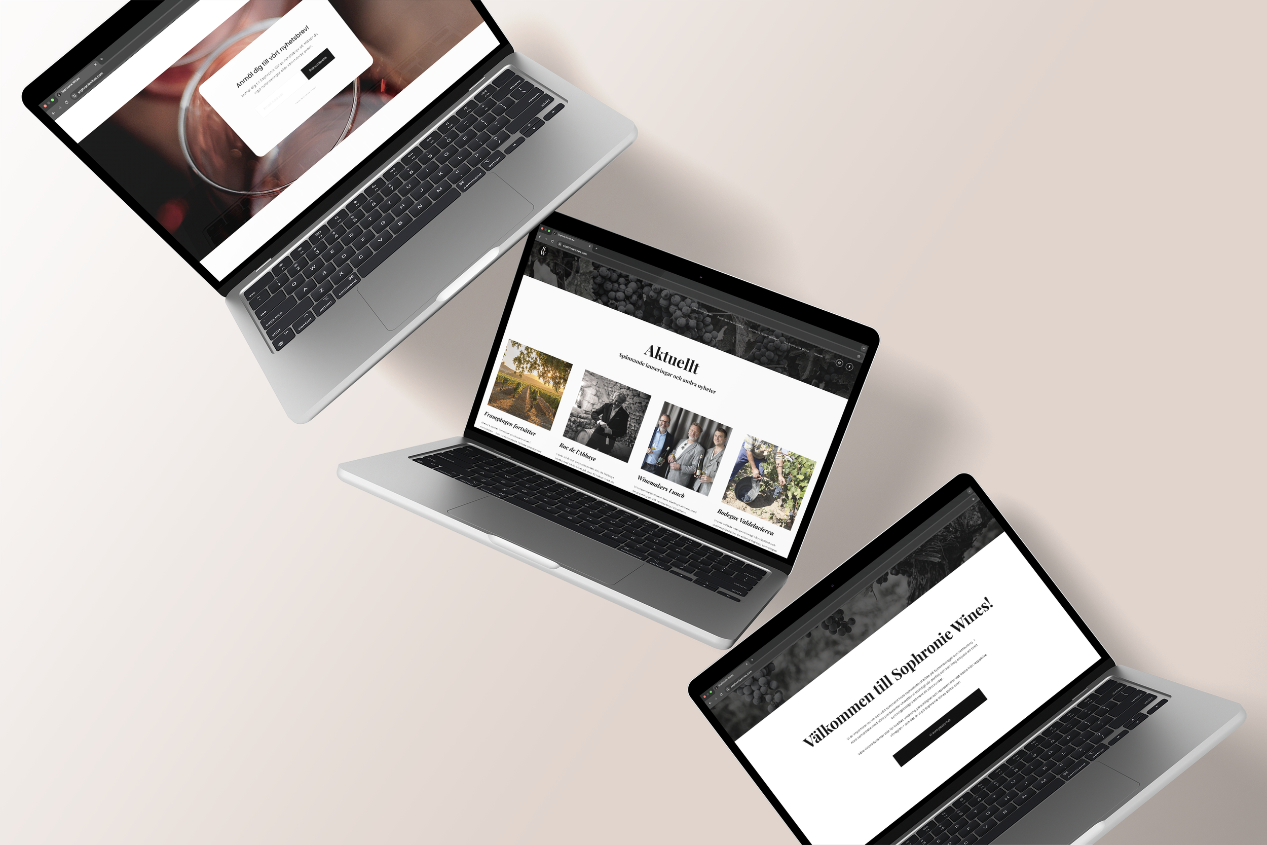 Sophronie Wines website desktop view, inner page design