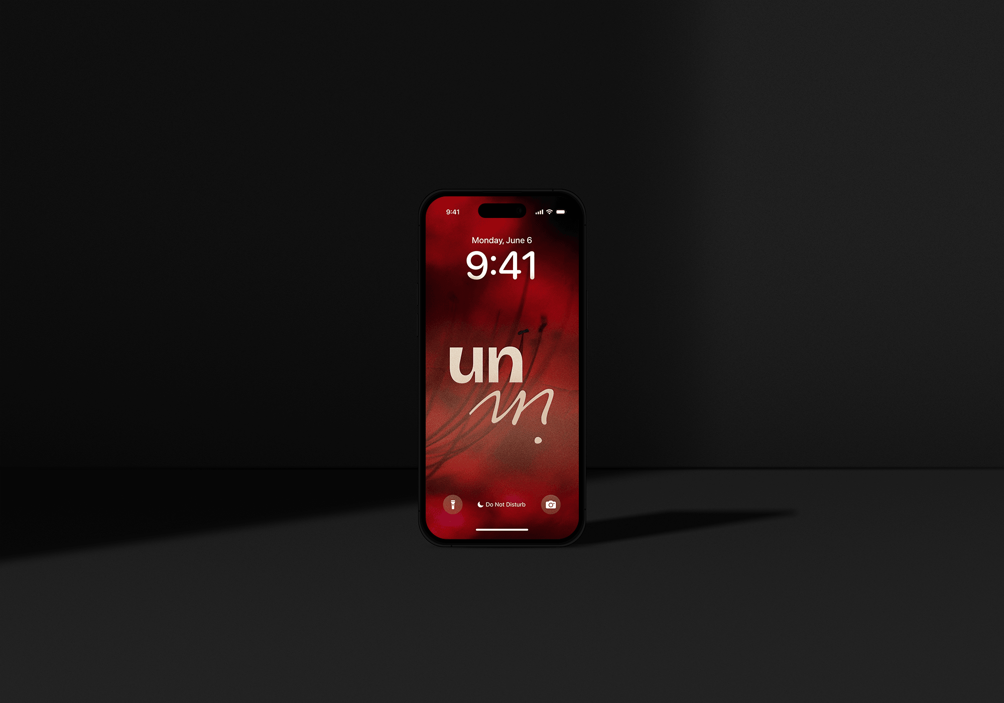 United Insights brand identity shown on a mobile phone screen