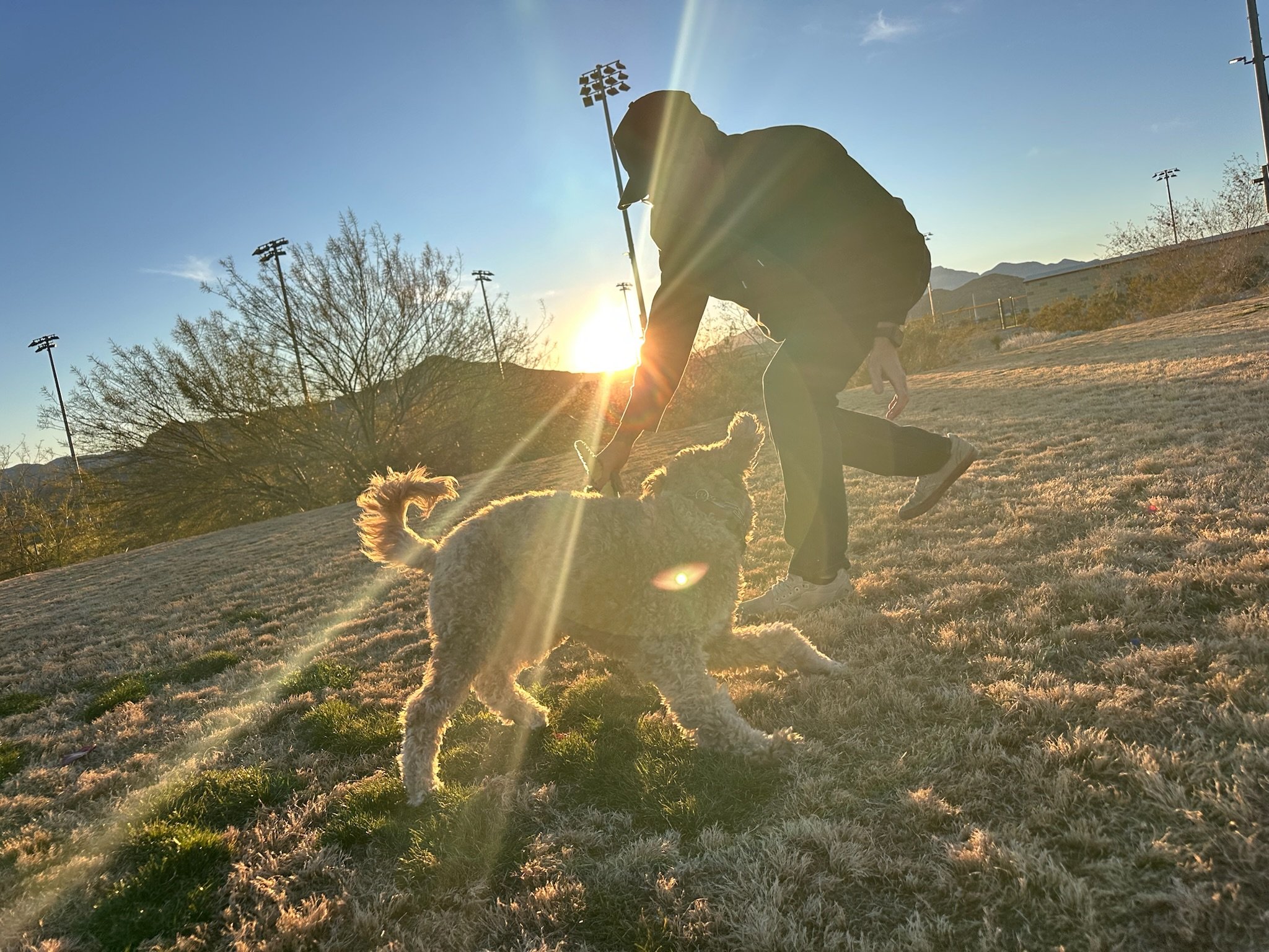"Josh Spencer and Cooper the Golden Doodle playing/training at the park"