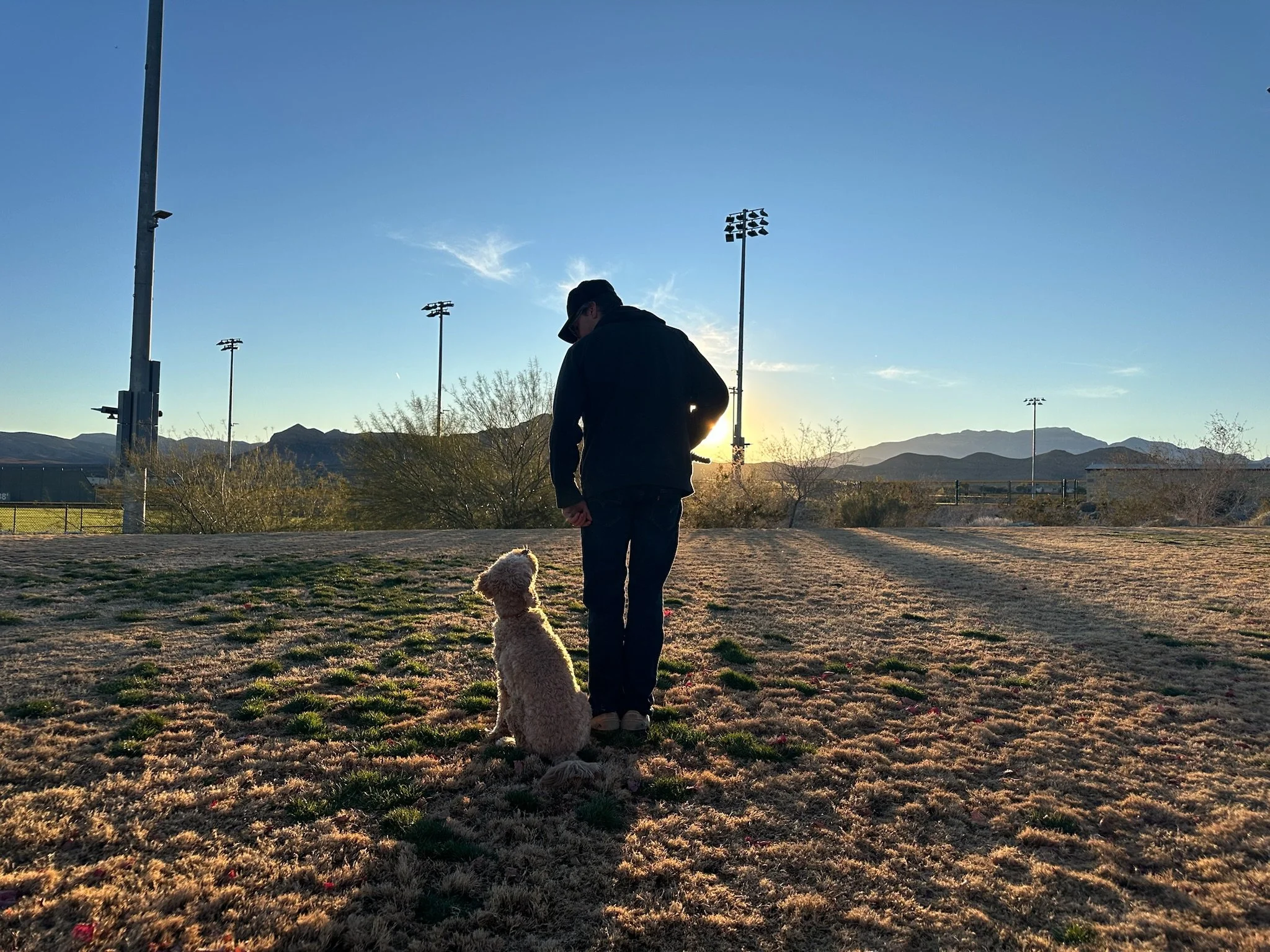 " Josh Spencer and Cooper the Goldendoodle training the heel position at the park"