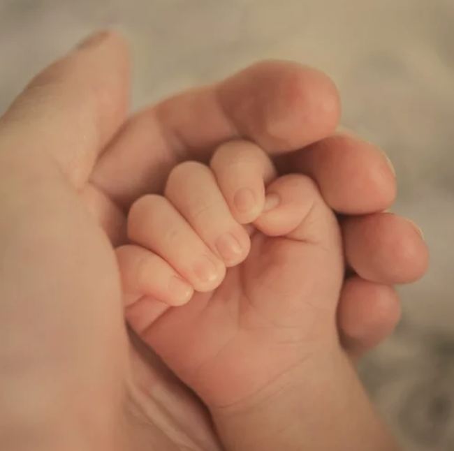 When Pregnancy Meets a Pink Slip: Why the Maeve Montgomery Network Exists