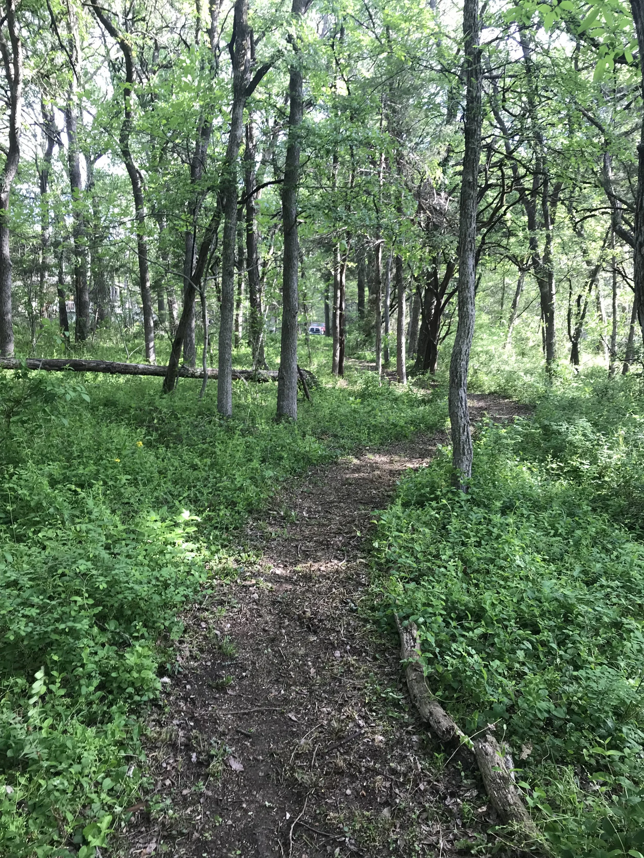 Brain Building Solutions is a faith-based practice in Blue Ridge, Texas that provides certified modalities and techniques for kids and adults with cognitive, physical, and sensory challenges. We use a variety of fun, engaging, and research-based brai