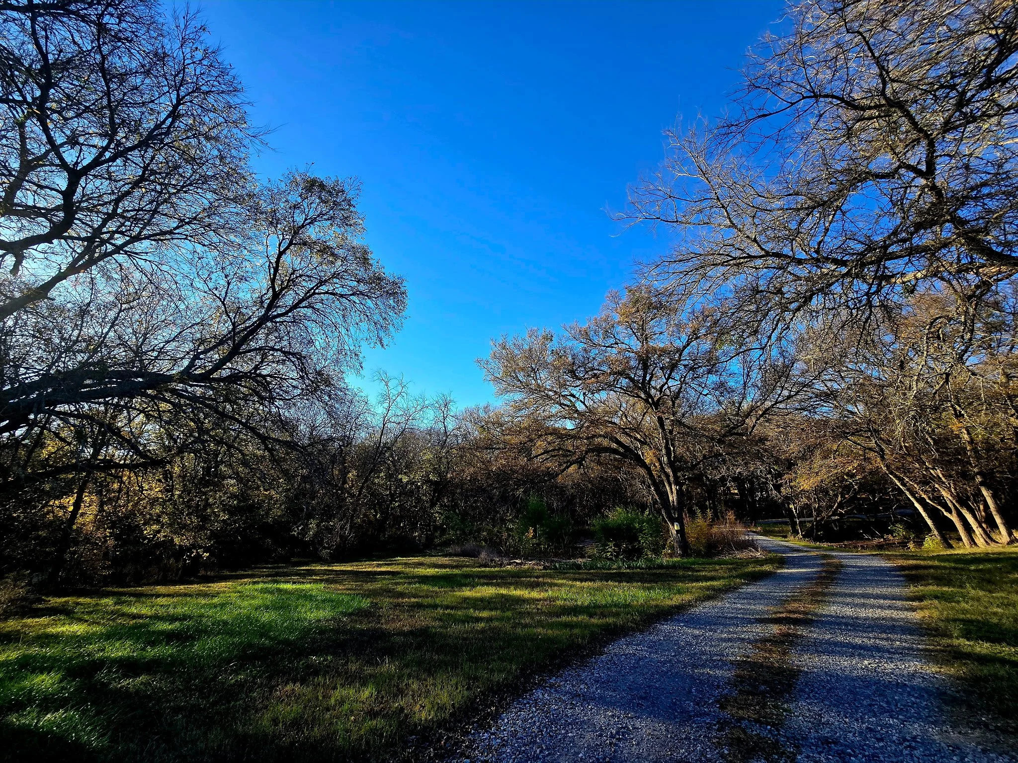 Brain Building Solutions is a faith-based practice in Blue Ridge, Texas that provides certified modalities and techniques for kids and adults with cognitive, physical, and sensory challenges. We use a variety of fun, engaging, and research-based brai
