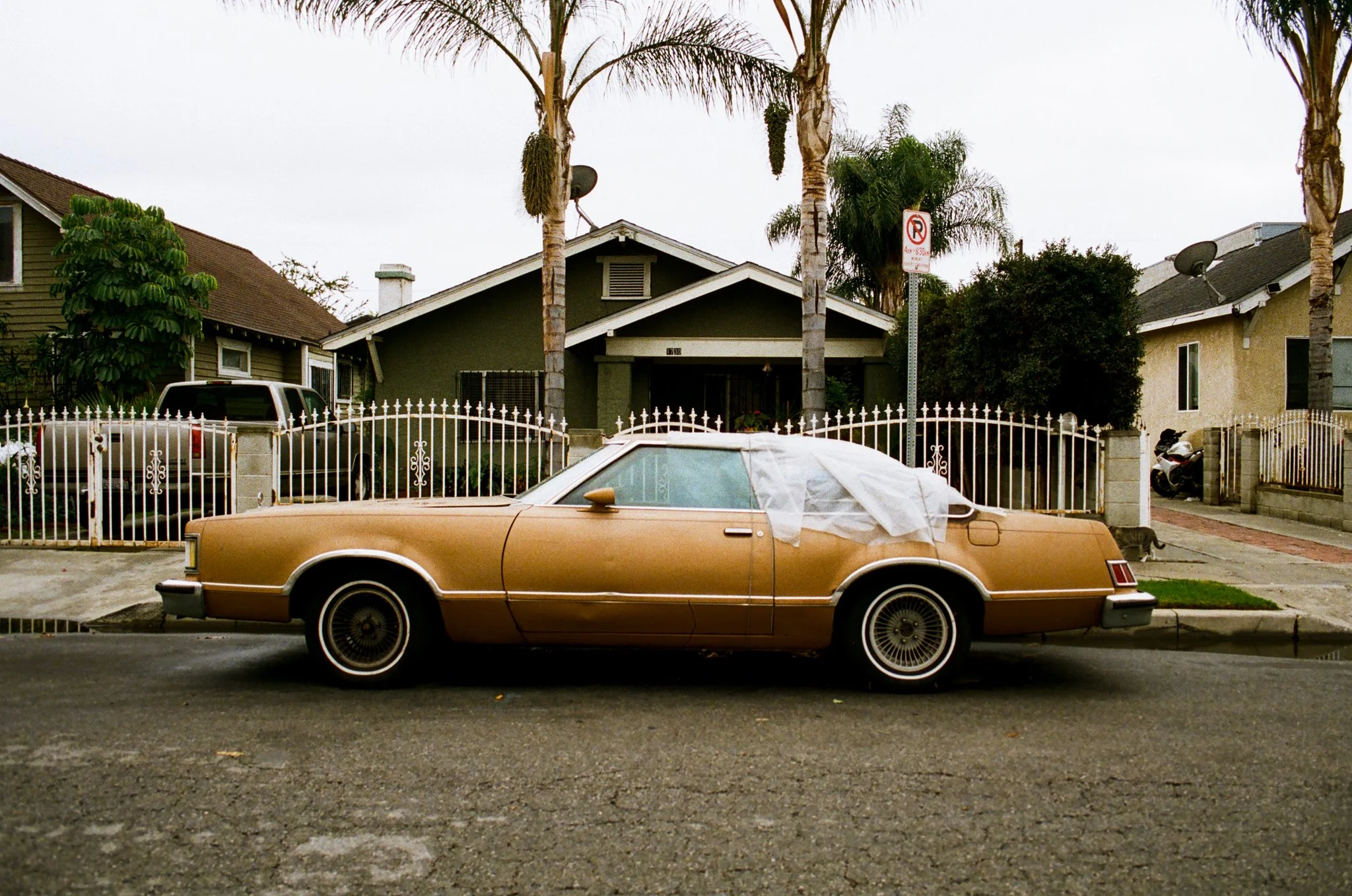textures, dtla ca, 2026