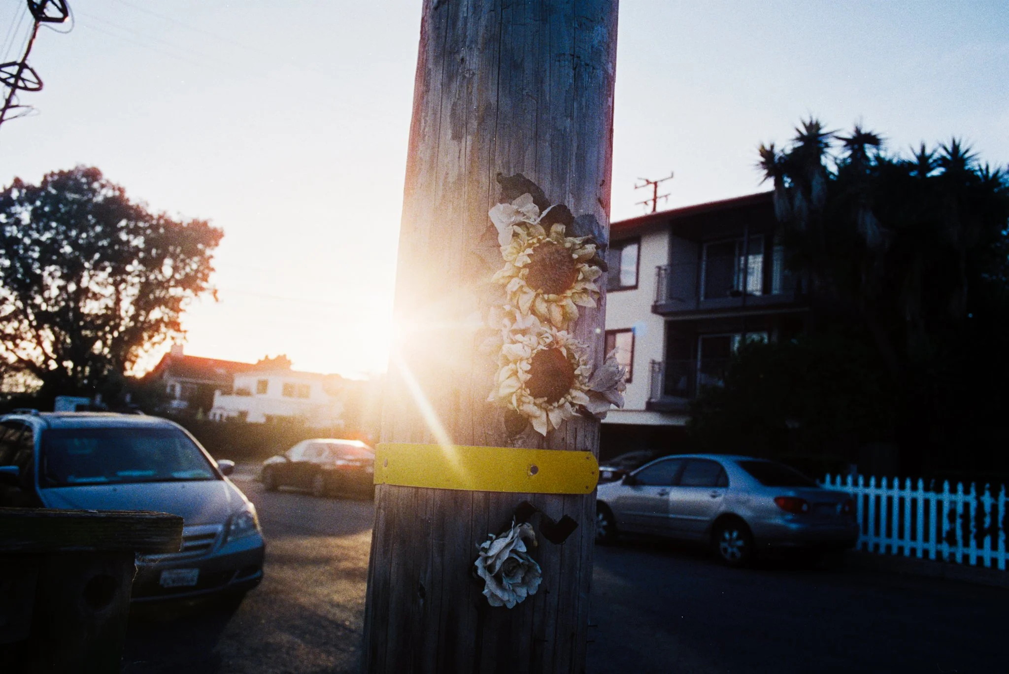 taylors neighborhood, santa barbara ca, 2026