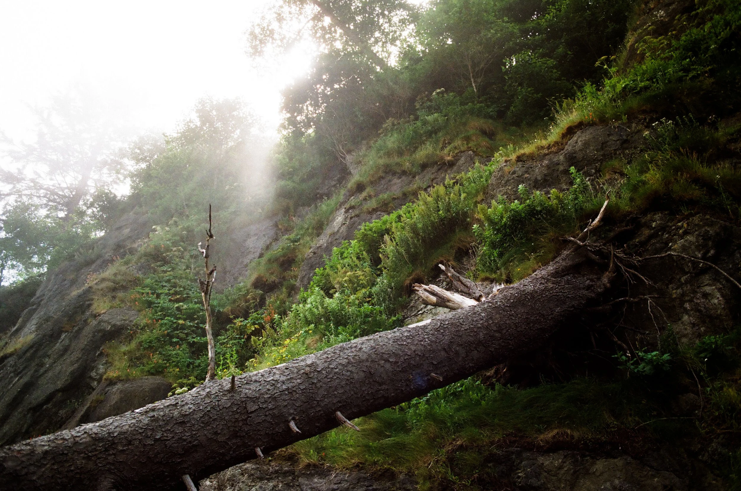 jefferson county, washington, 2025