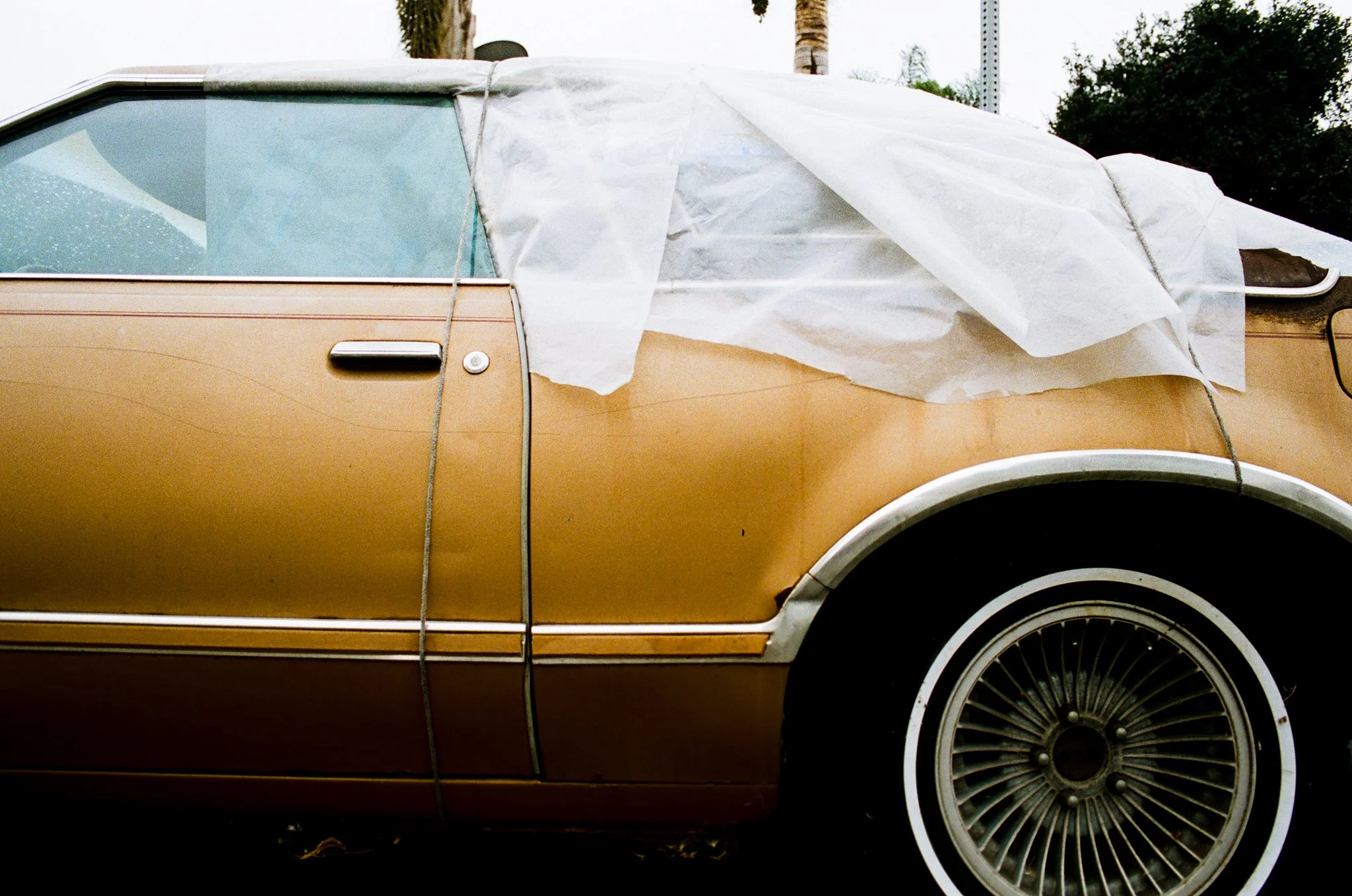 textures, dtla ca, 2026