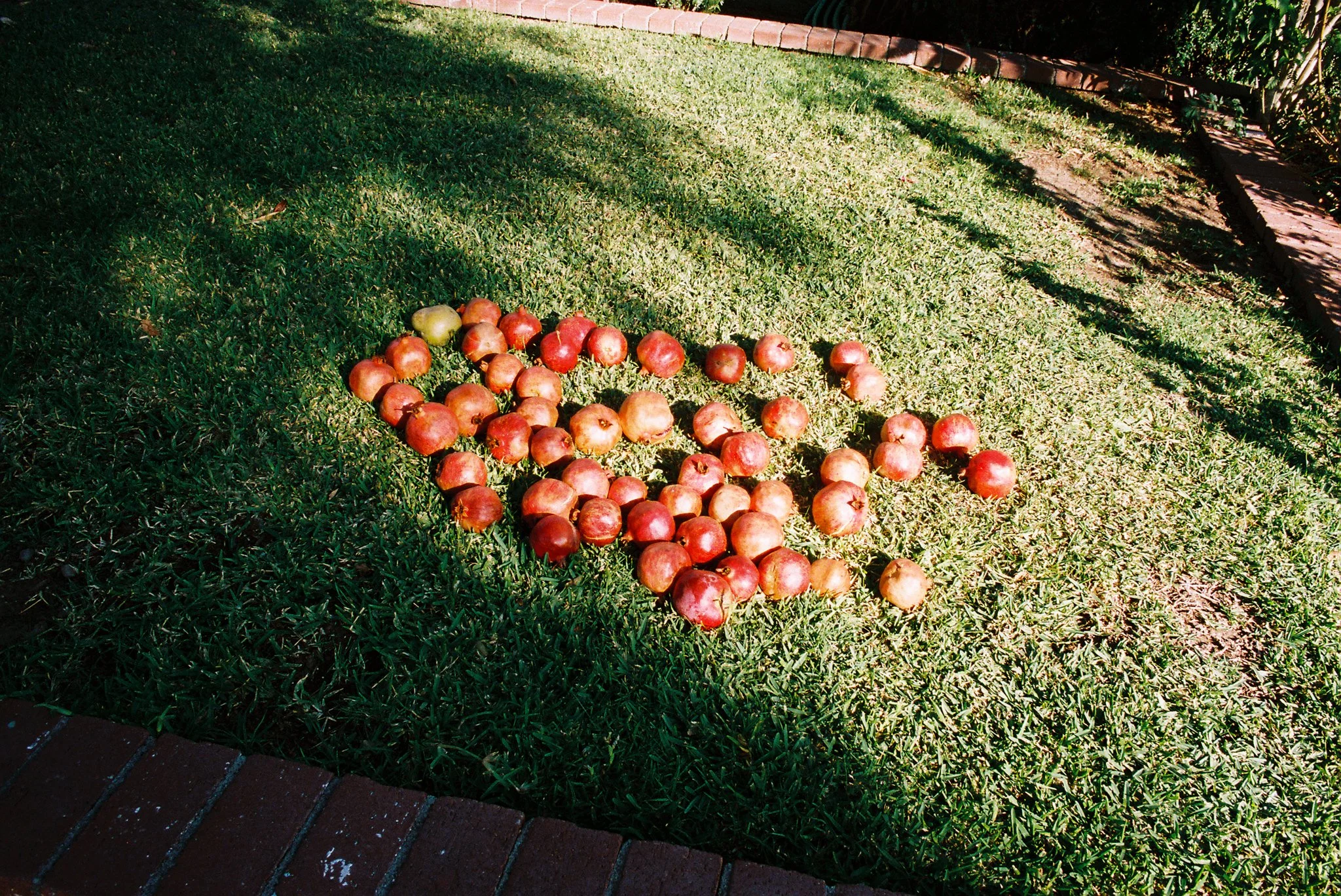 bountiful harvest, ontario ca, 2026