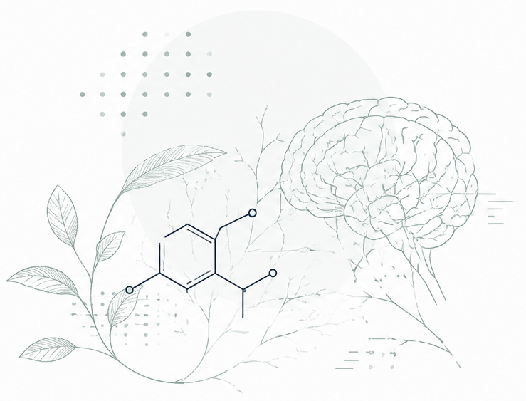 Illustration of a human brain, a chemical structure, and plant leaves on a light background.