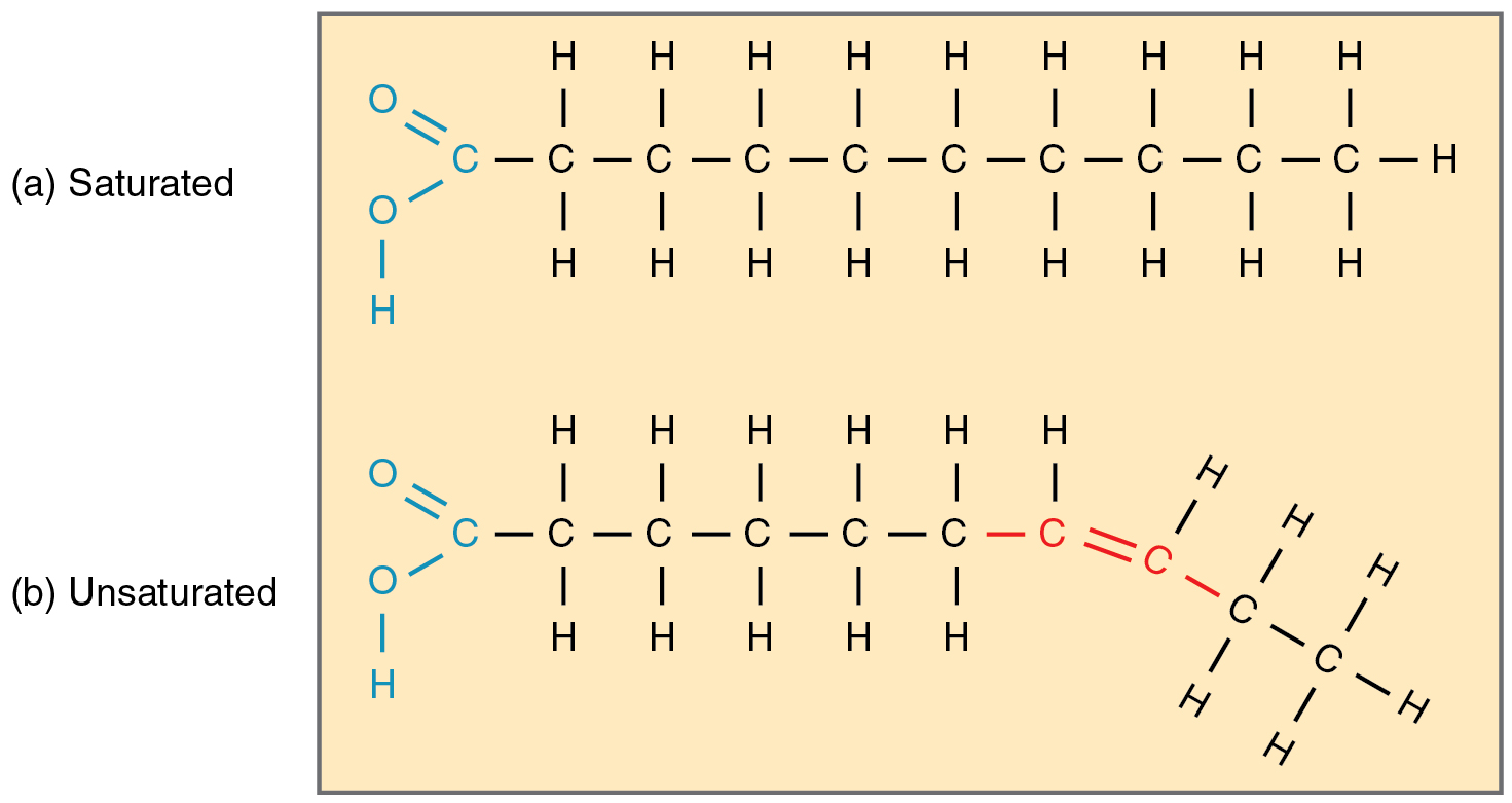 Chemical Structure of Saturated and Unsaturated Fats