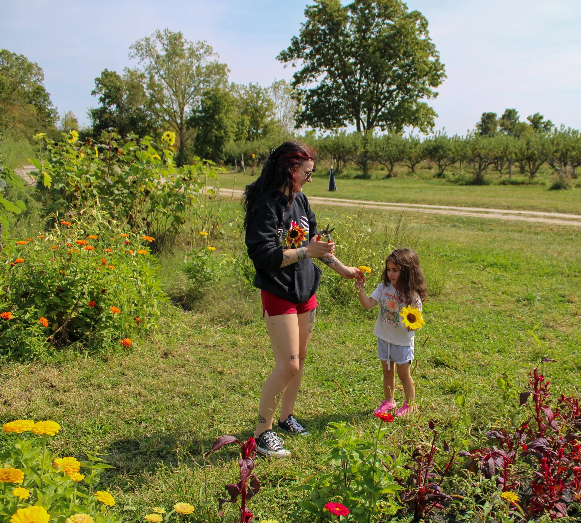 A woman with tattoos and glasses, wearing a black hoodie and red shorts, stands in a garden filled with colorful flowers, holding a sunflower and interacting with a young girl. The girl is wearing a white T-shirt and shorts, holding a sunflower, standing among various vibrant flowers. Tall trees and a grassy field are visible in the background under a clear sky.