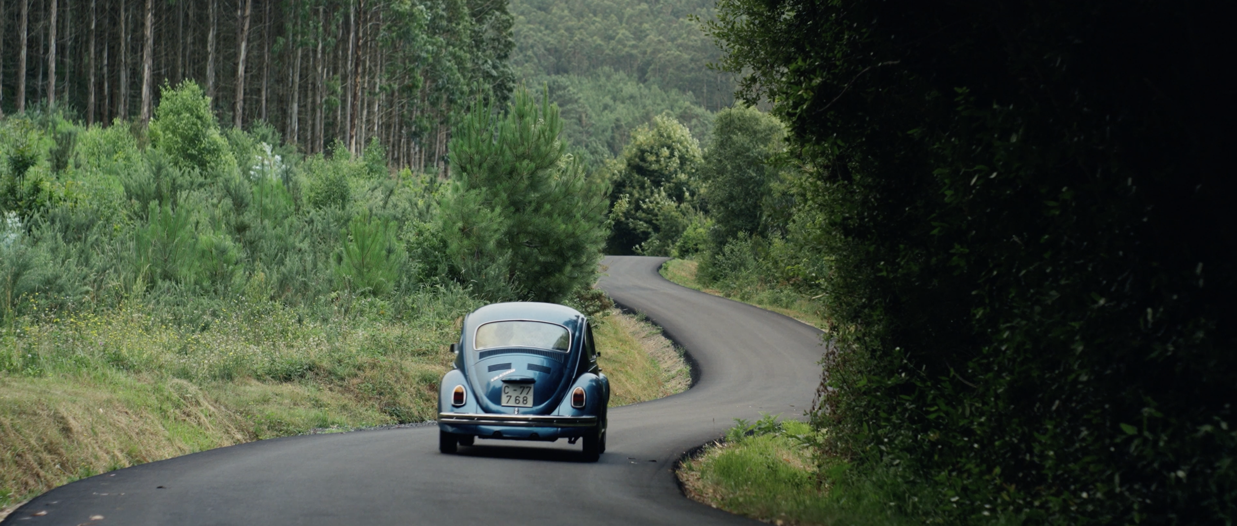 Volkswagen - Beetle Story