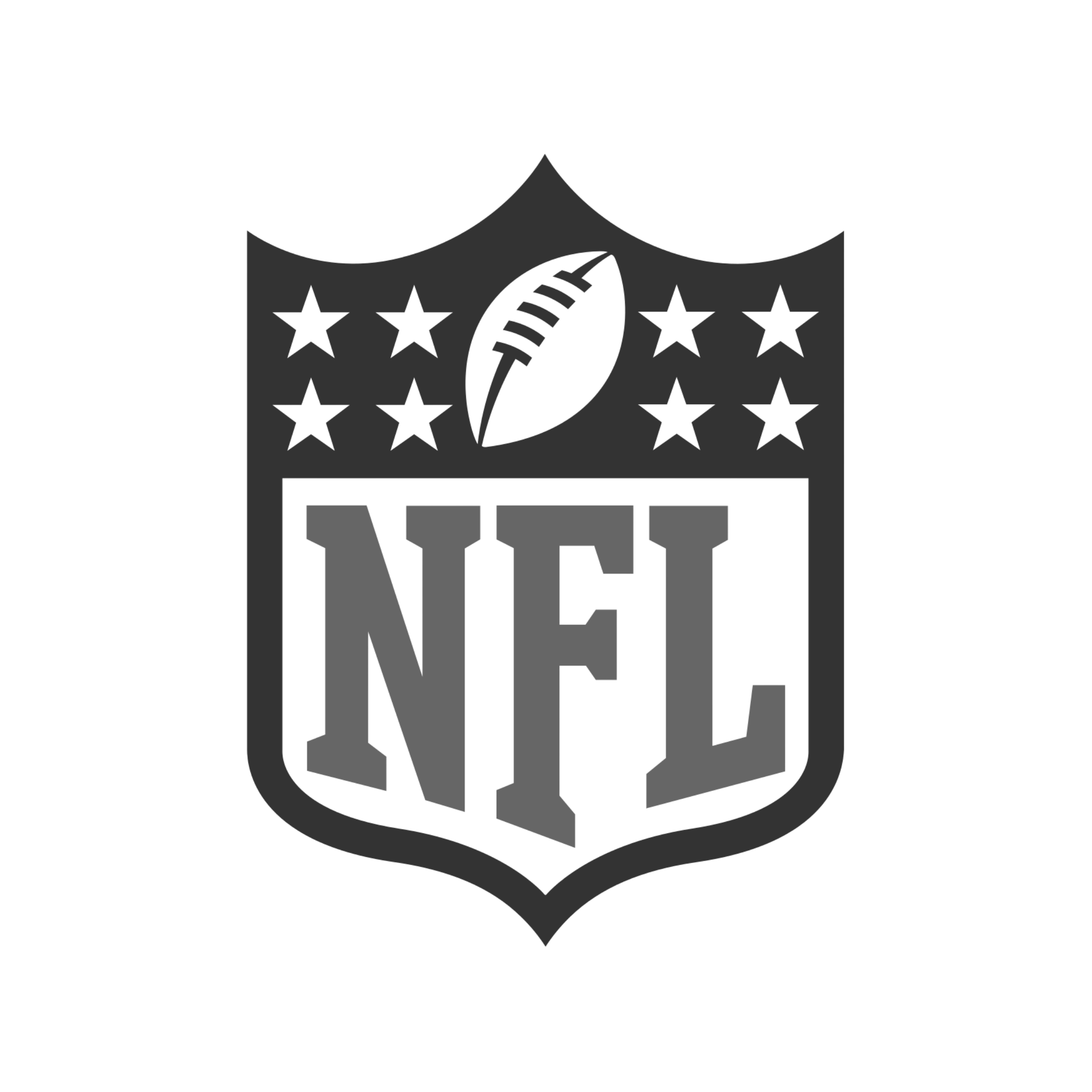 NFL Logo