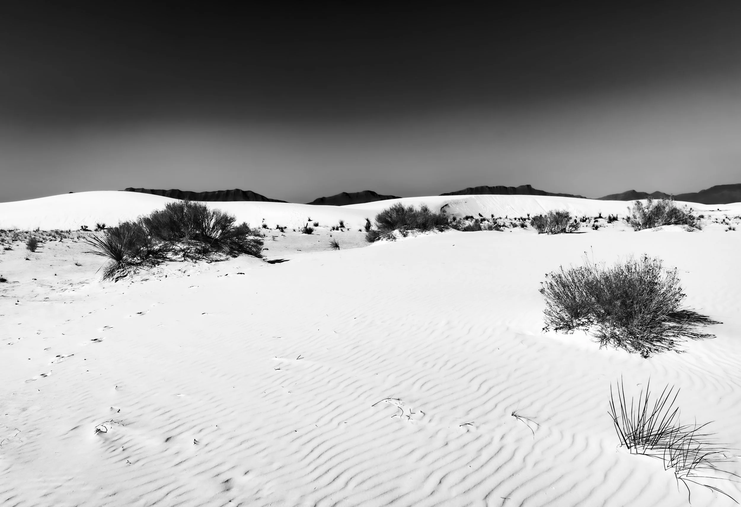 whitesandsatdawnbw1319.jpg