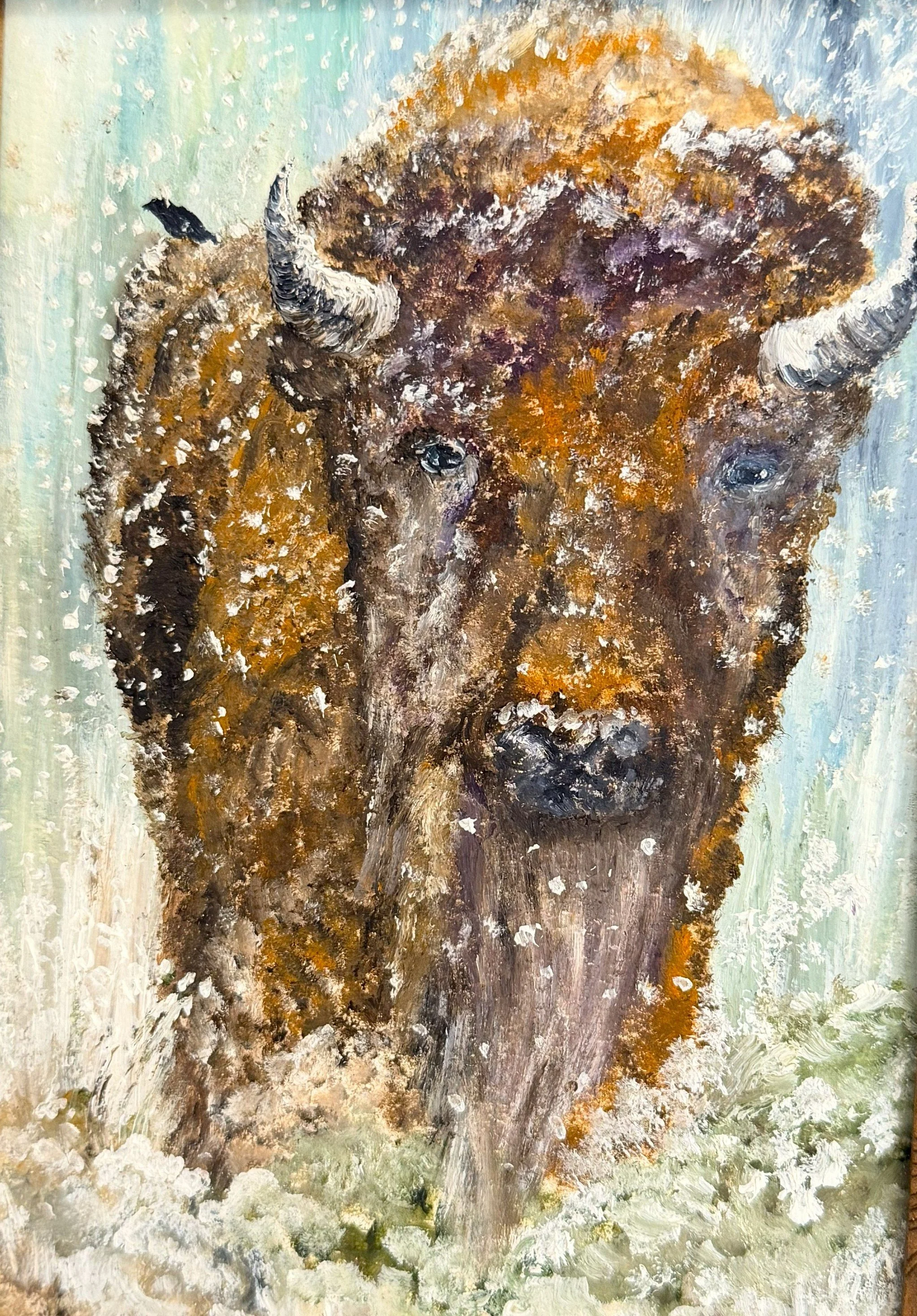 babybisonnoframe.jpg