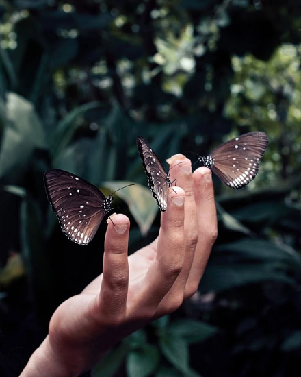 Electric Bloom Healing | Discover Wellness Today - Start Your Healing ...