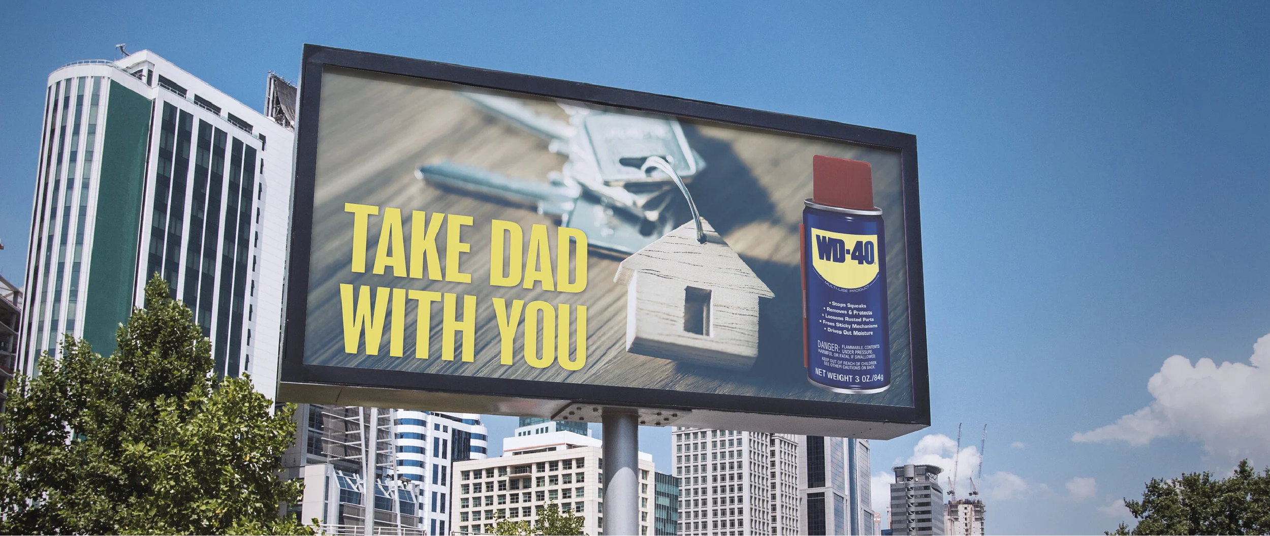 Take Dad With You