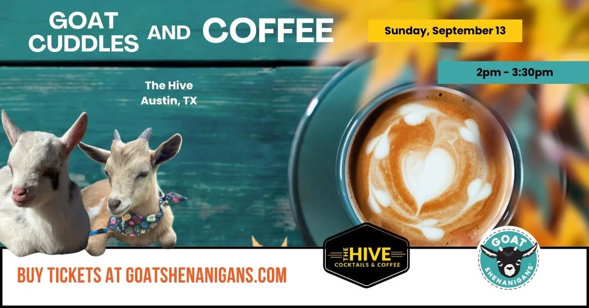 Goat Cuddles and Coffee