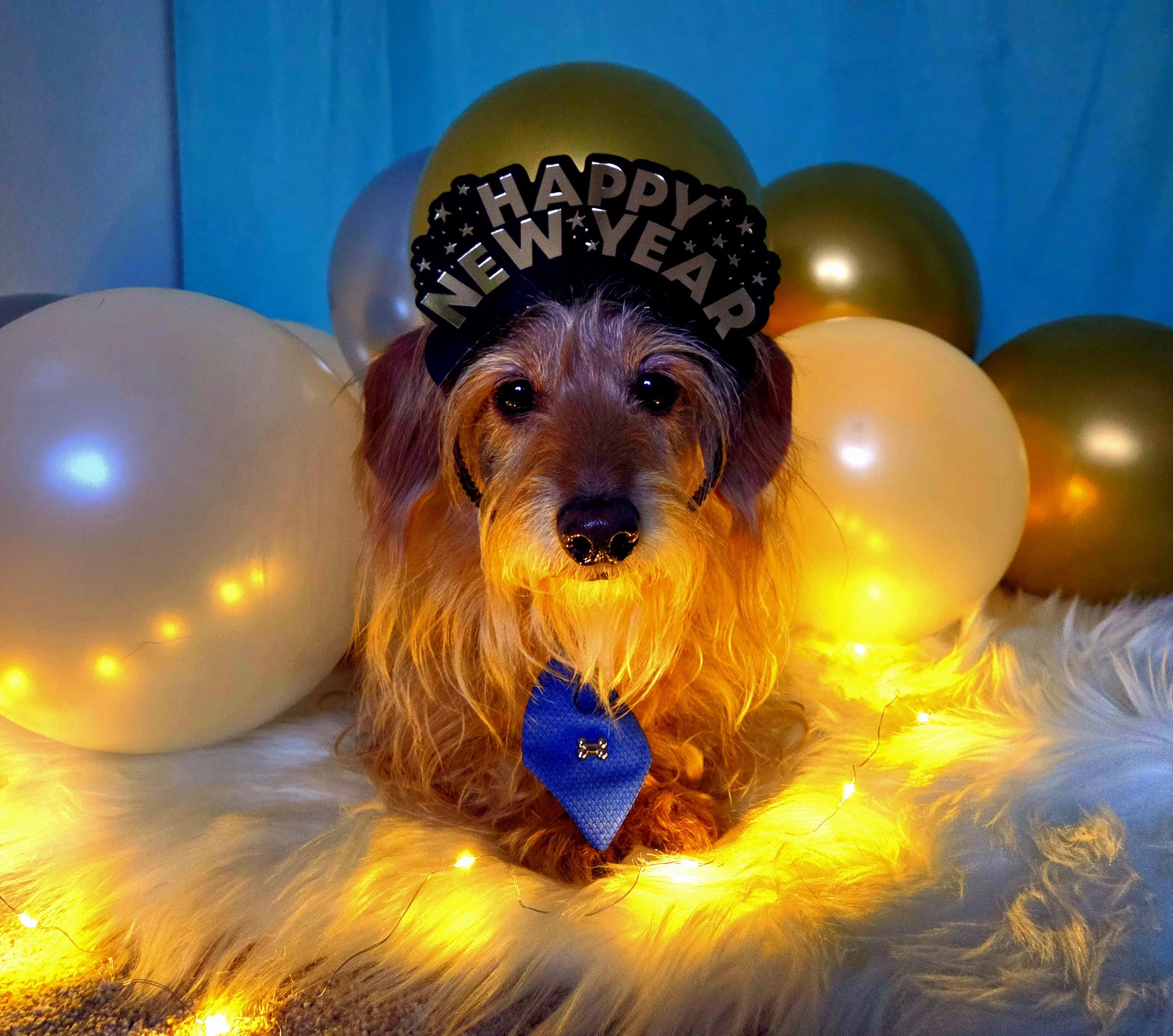 Welcome to Barkasana