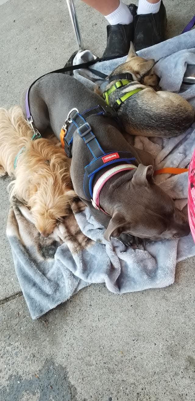 Keep going! Slow progress is great progress.