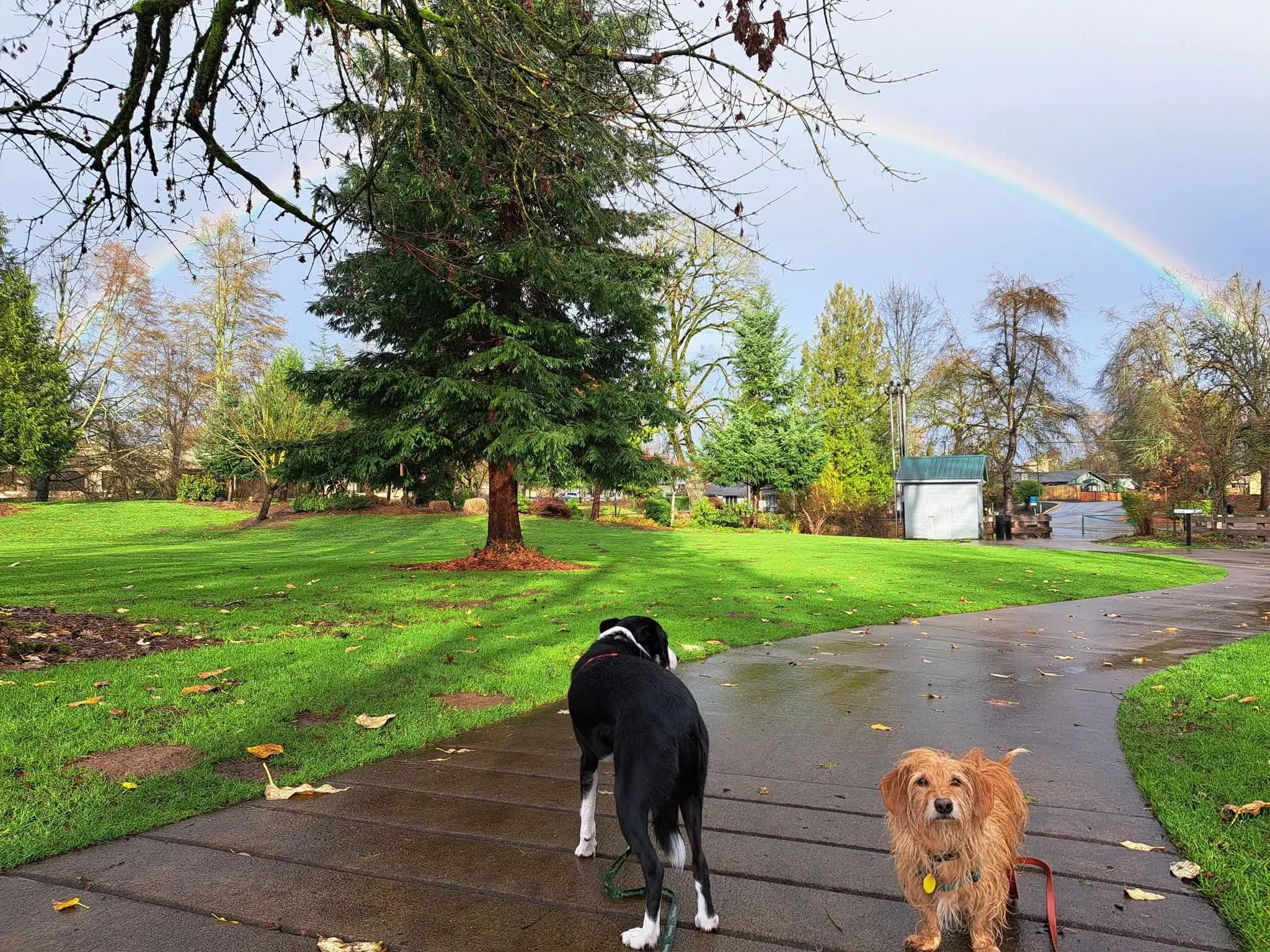 “You can't have rainbows without rain”