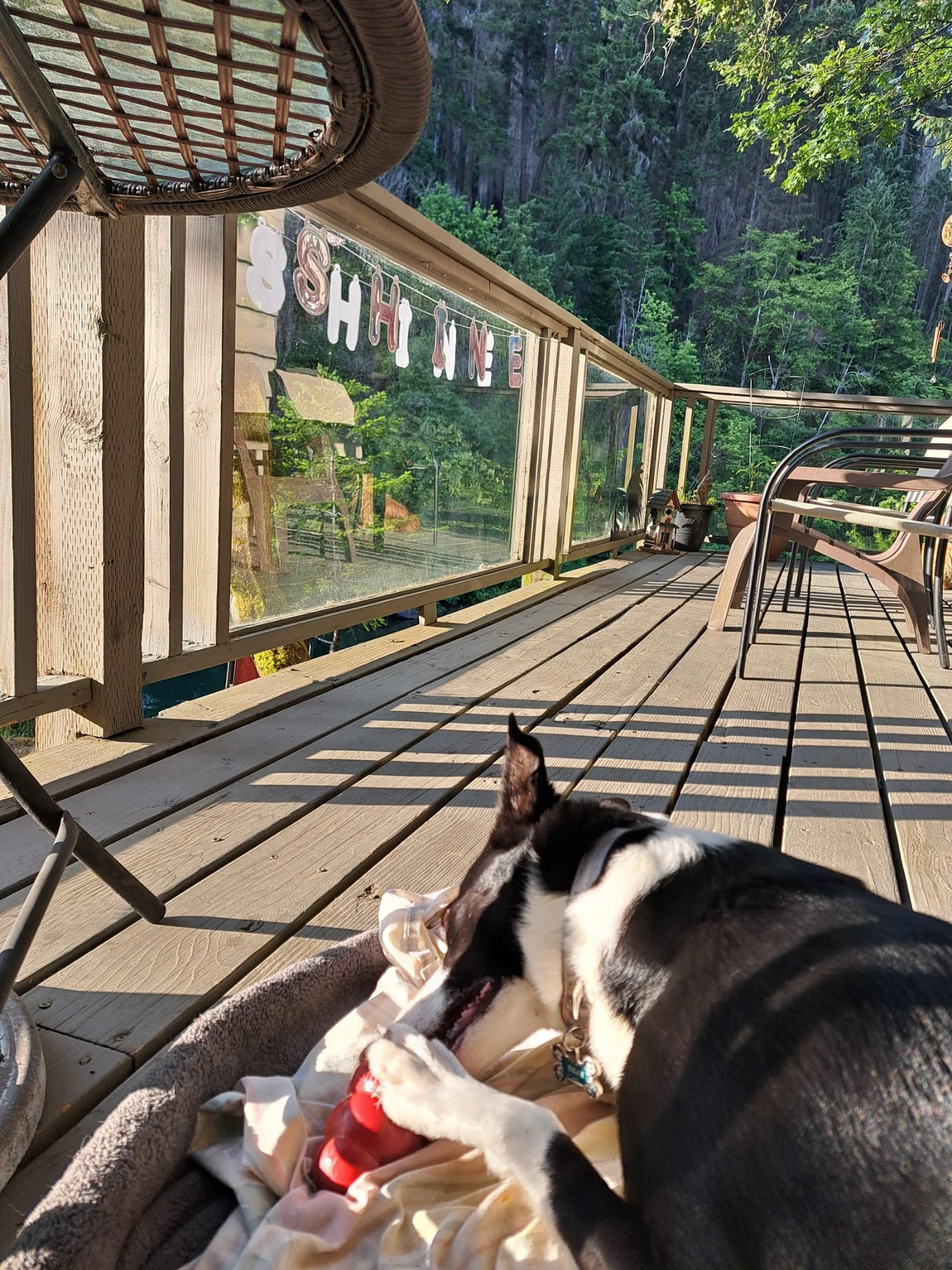 Small Steps Create Big Shifts 