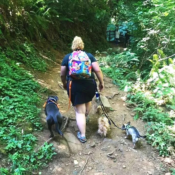 Sara the main trainer and owner of Barkasana Dog Training hiking with 3 dogs and getting ready to train dogs with virtual dog training with Barkasana. Gandalf the dachshund and Bhagwan the Chihuahua and Hippo the Pitty