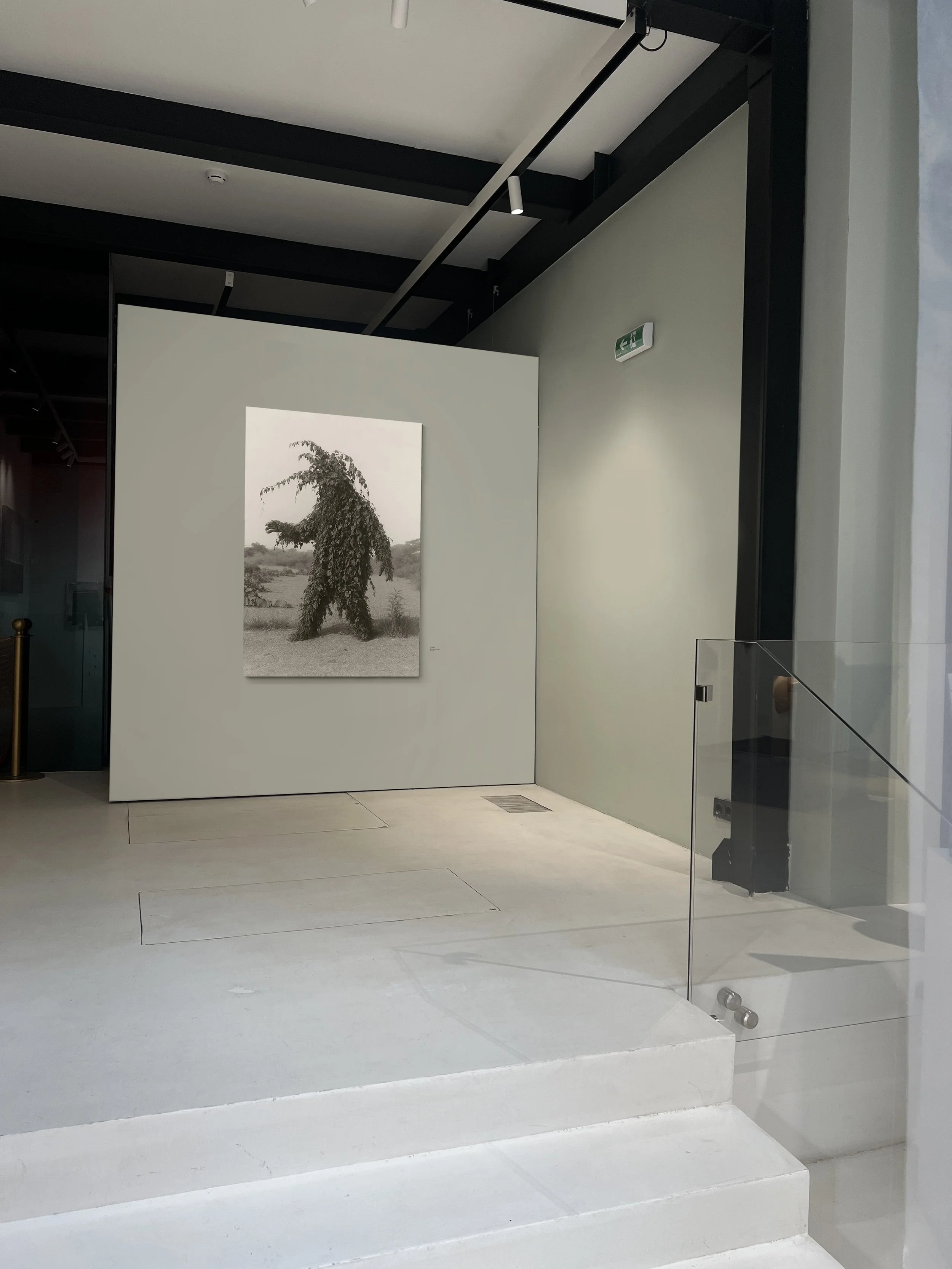 varvara dmitrieva artist