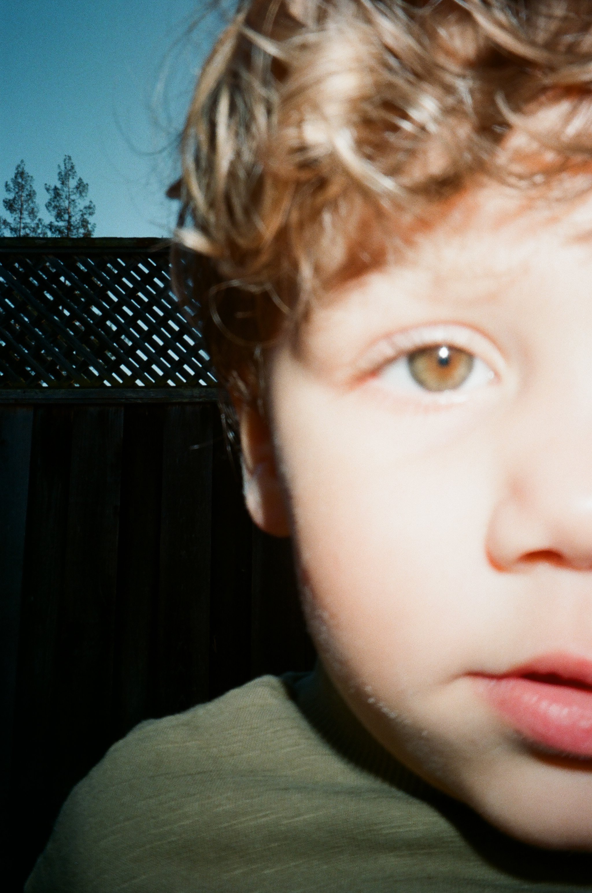 Close-up of a child's face with curly hair, hazel eyes, and slightly parted lips, outdoors with a wooden fence and trees in the background. Film Palo Alto family photos. 