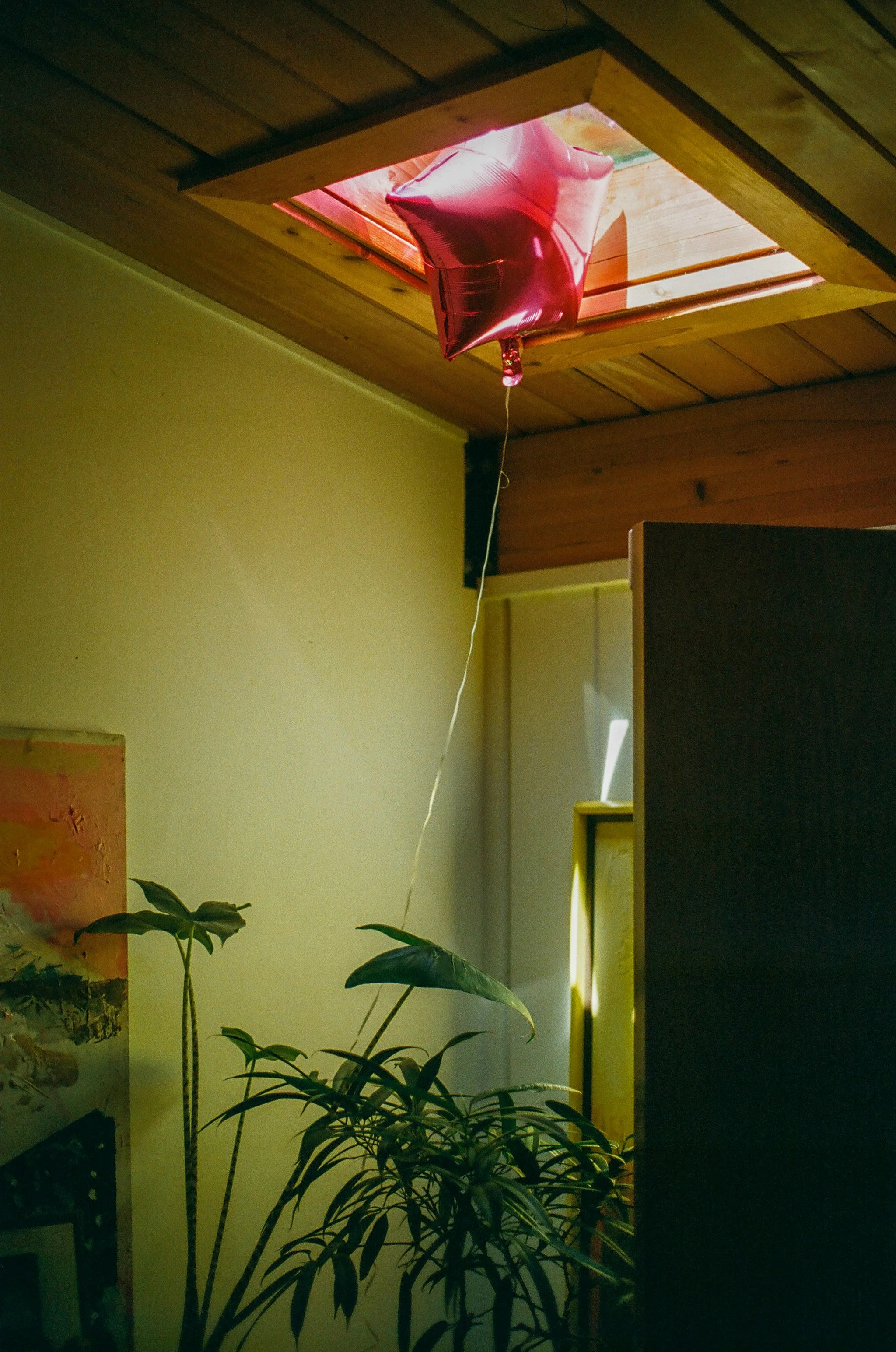 A partially opened ceiling hatch with a pink balloon attached by a string hanging down inside a room, with a plant and itp art of a piece of furniture visible