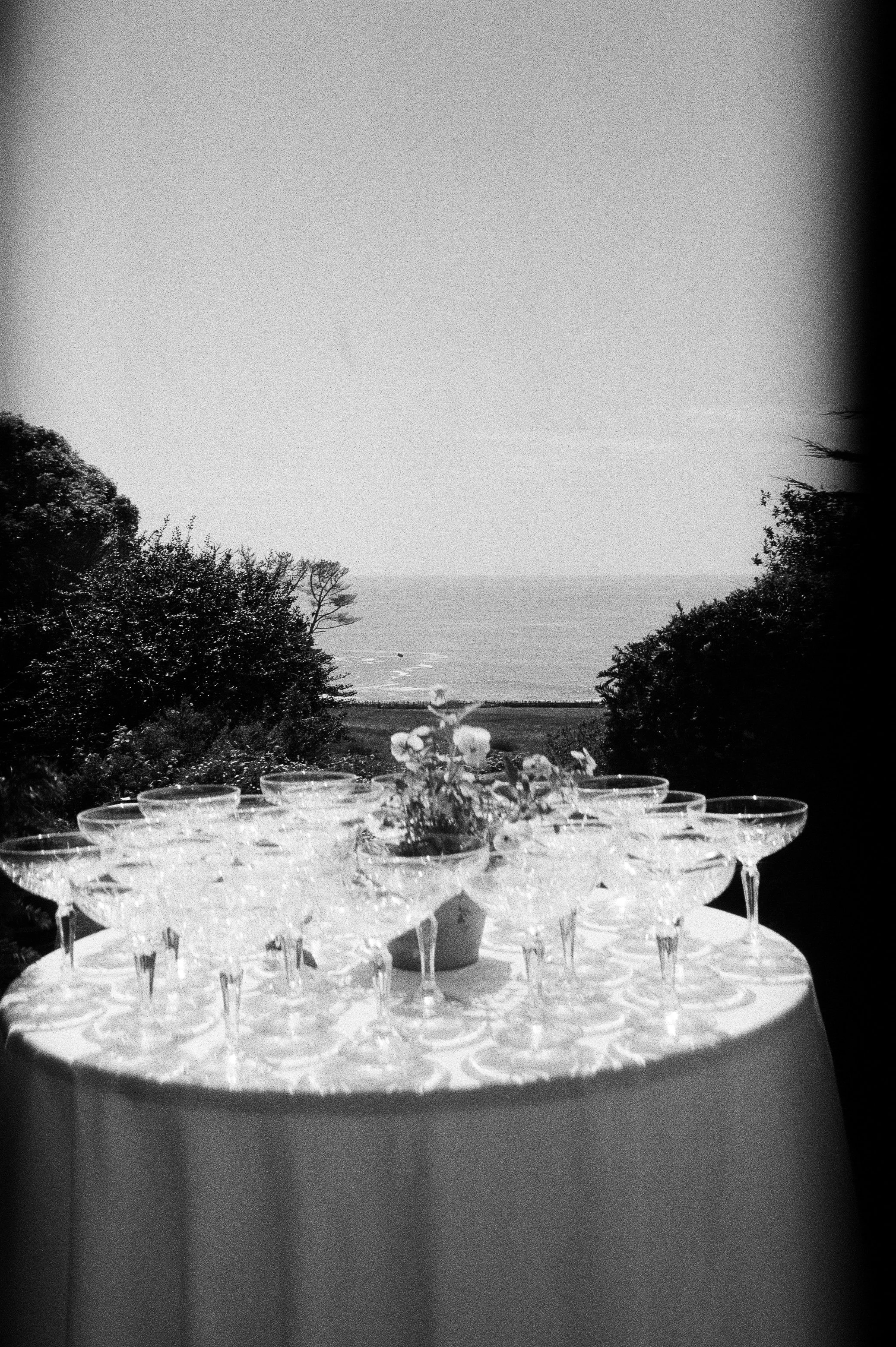 A table with multiple empty cocktail glasses and a small potted plant, outdoors with trees and the ocean in the background in black and white. Film, Westport California, Switzer Farm. Mendocino Outland bartender. 