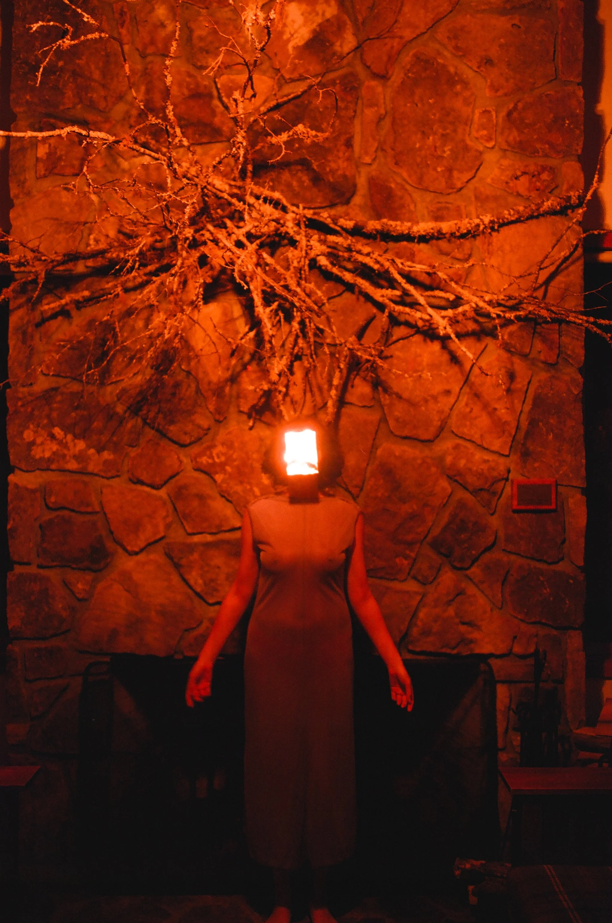 A woman standing in front of a stone wall with a tree branch above her, featuring a glowing head with bright light.